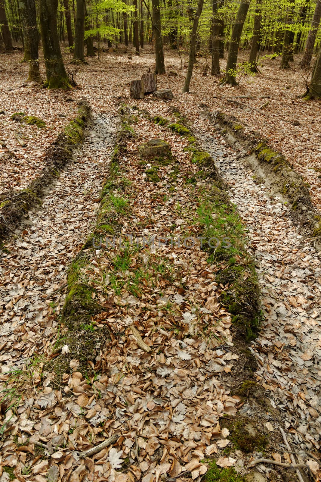 truck wheel track in the mud by NagyDodo