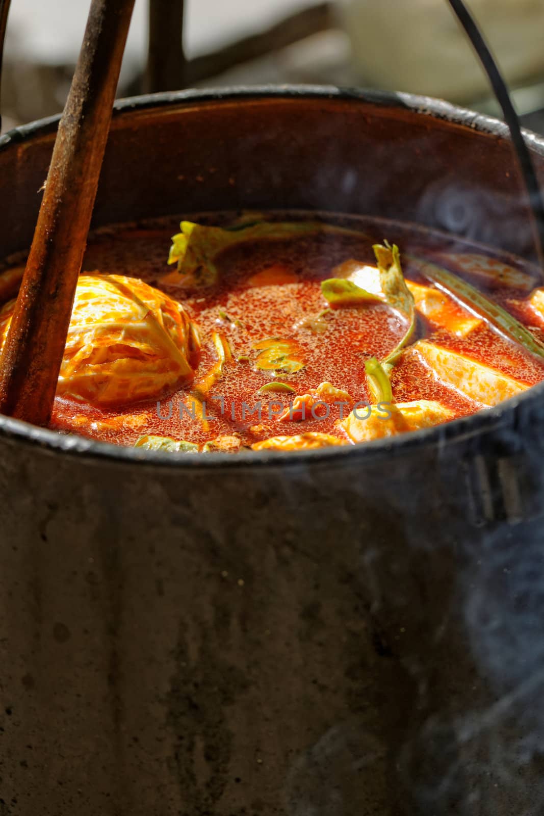 food cooking in stew pot in the nature