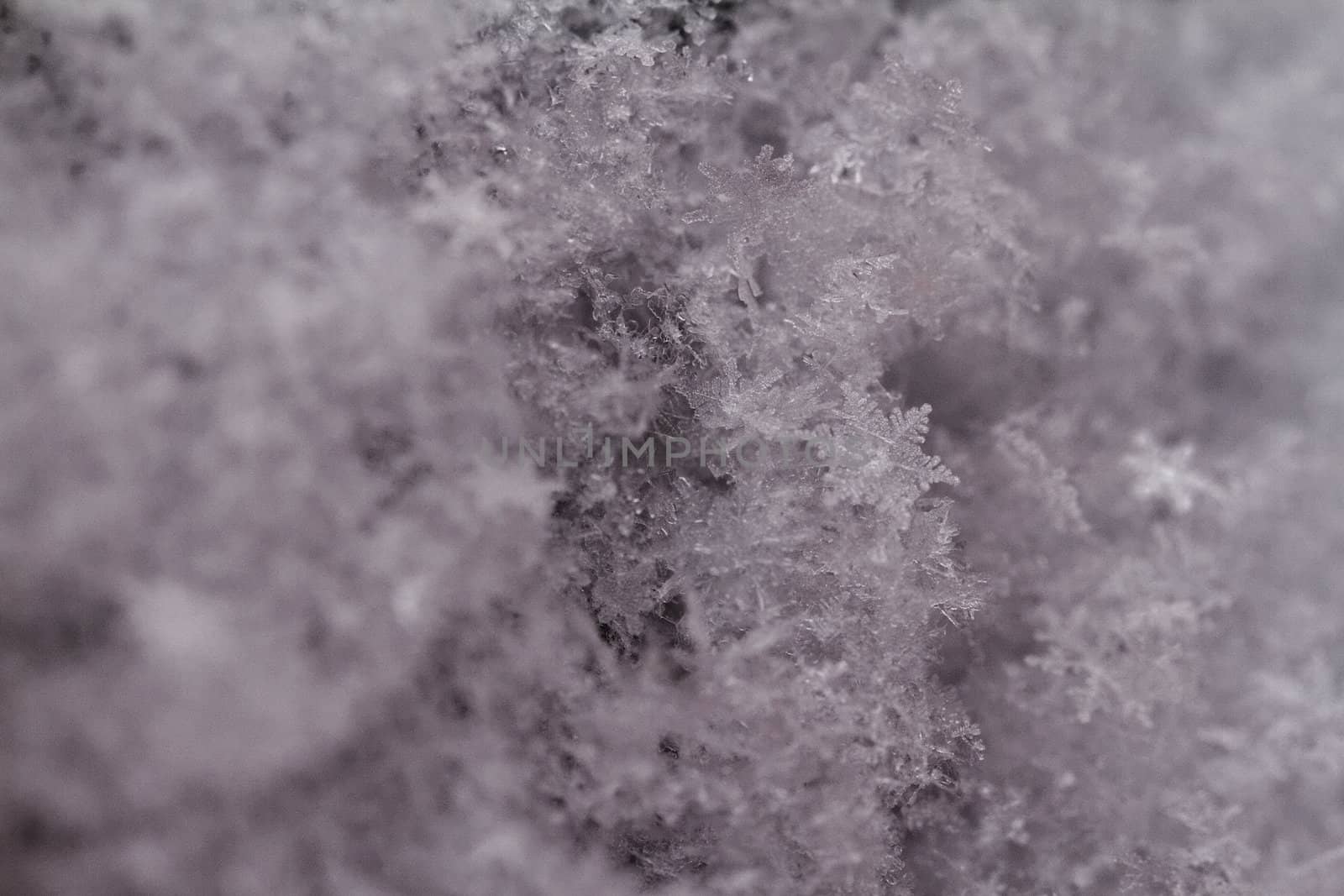 beauty white snowflake crystals on dark background