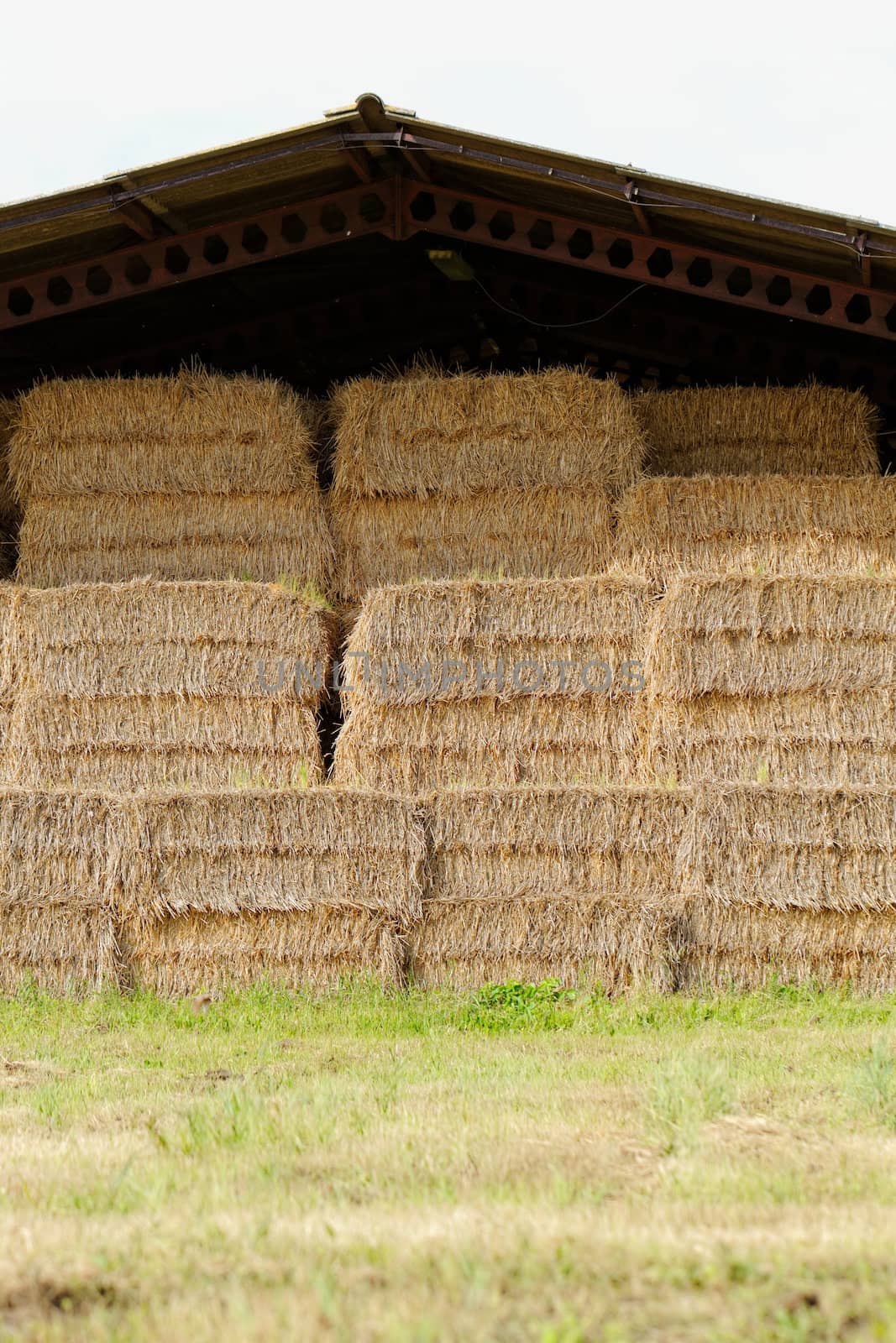 straw bales under the roof by NagyDodo