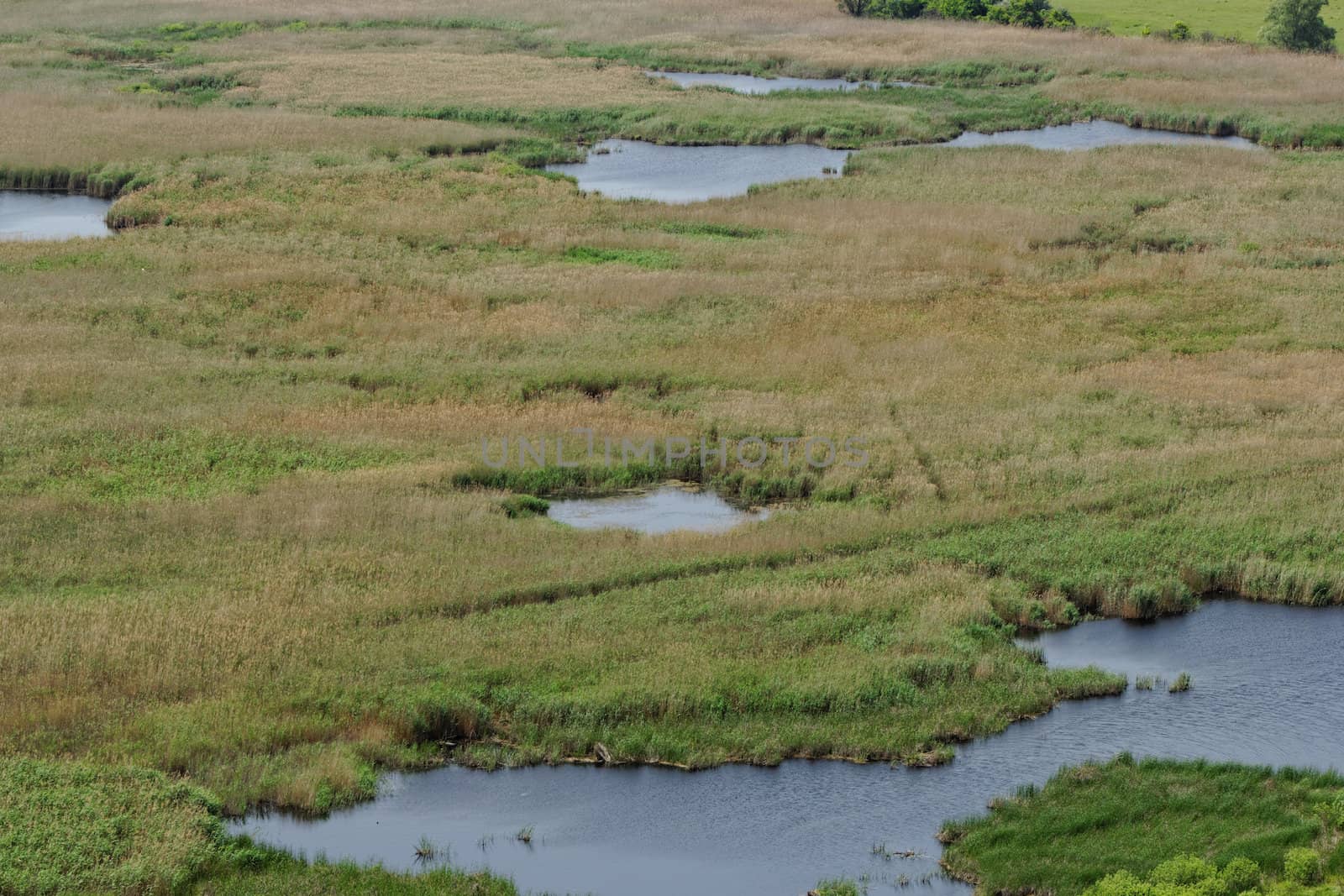 small lakes in the reeds by NagyDodo