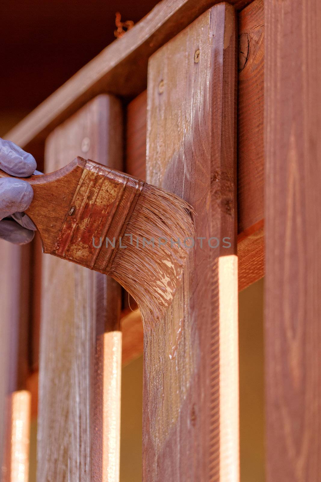 planks fence dyeing with brown paint and brush