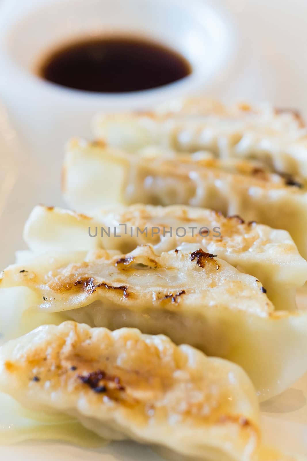 japanese food style dumpling on white dish