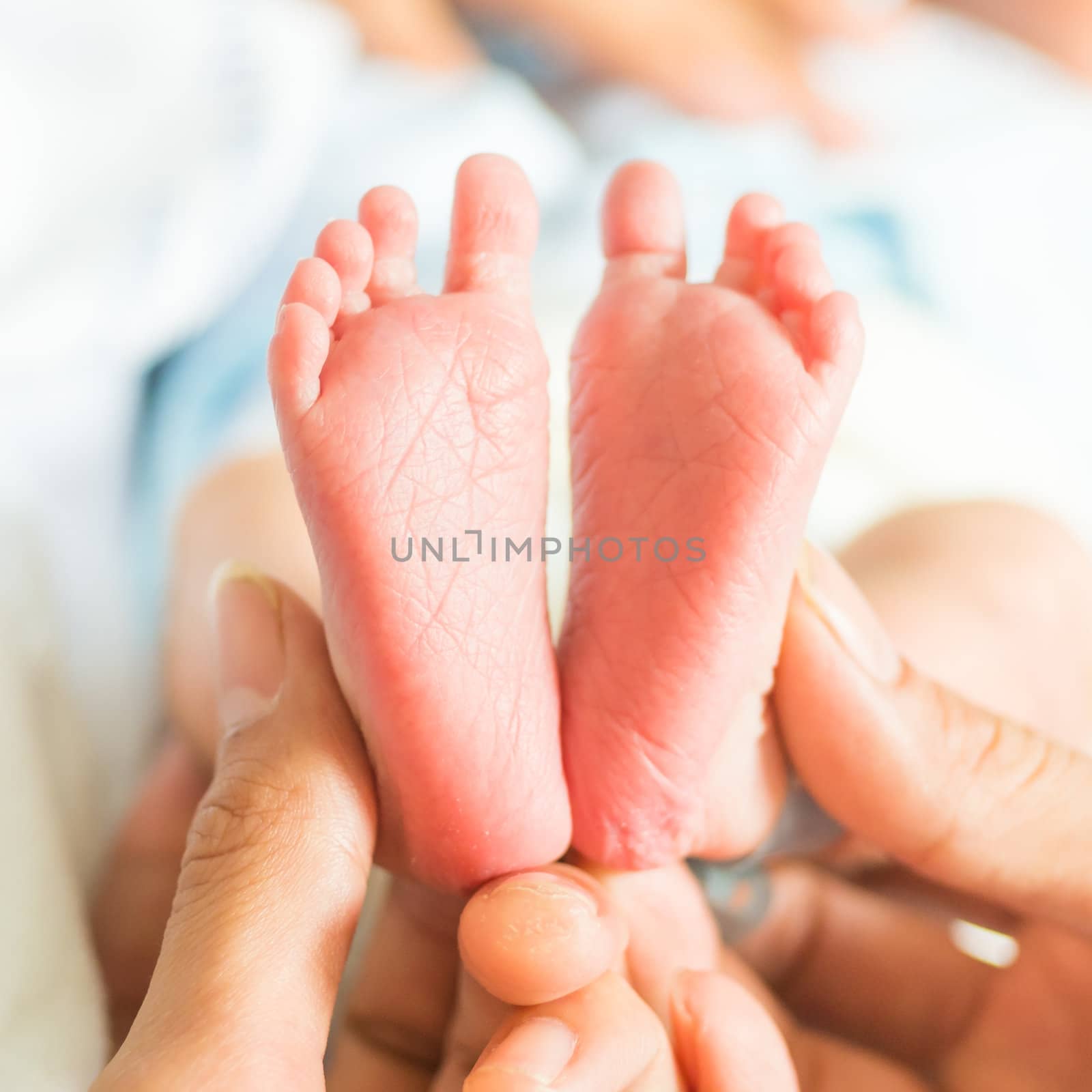 feet of baby holds on finger hands