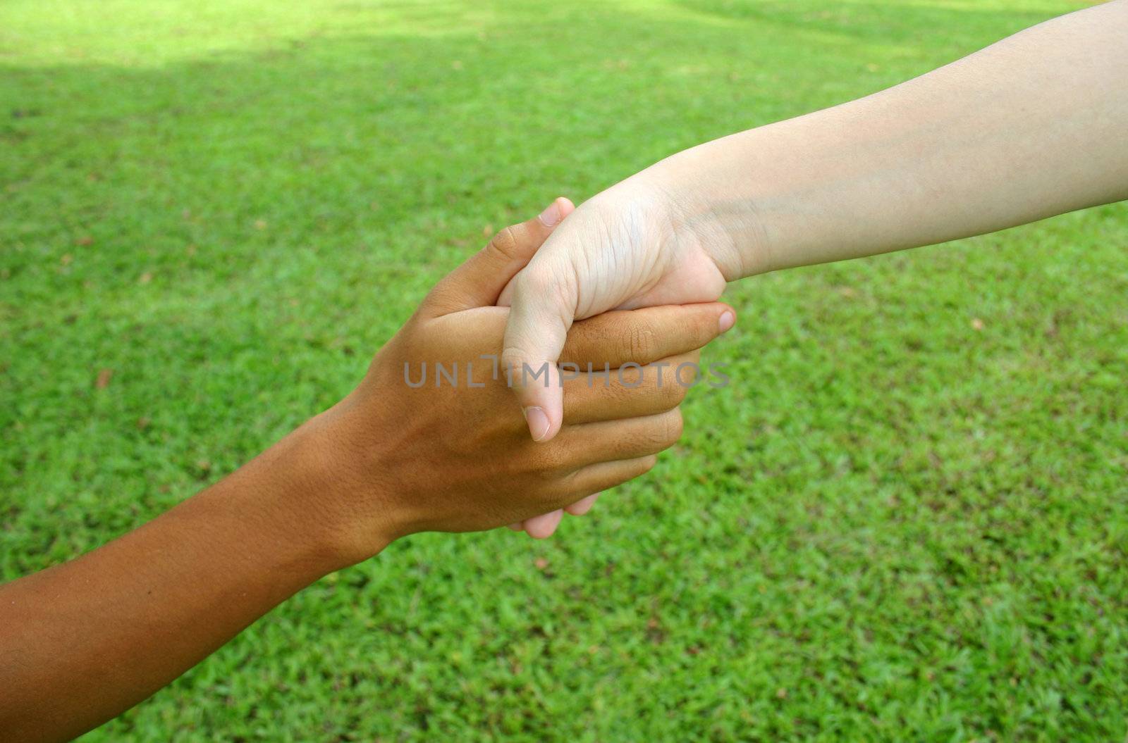 Two hands shaking with green grass background.