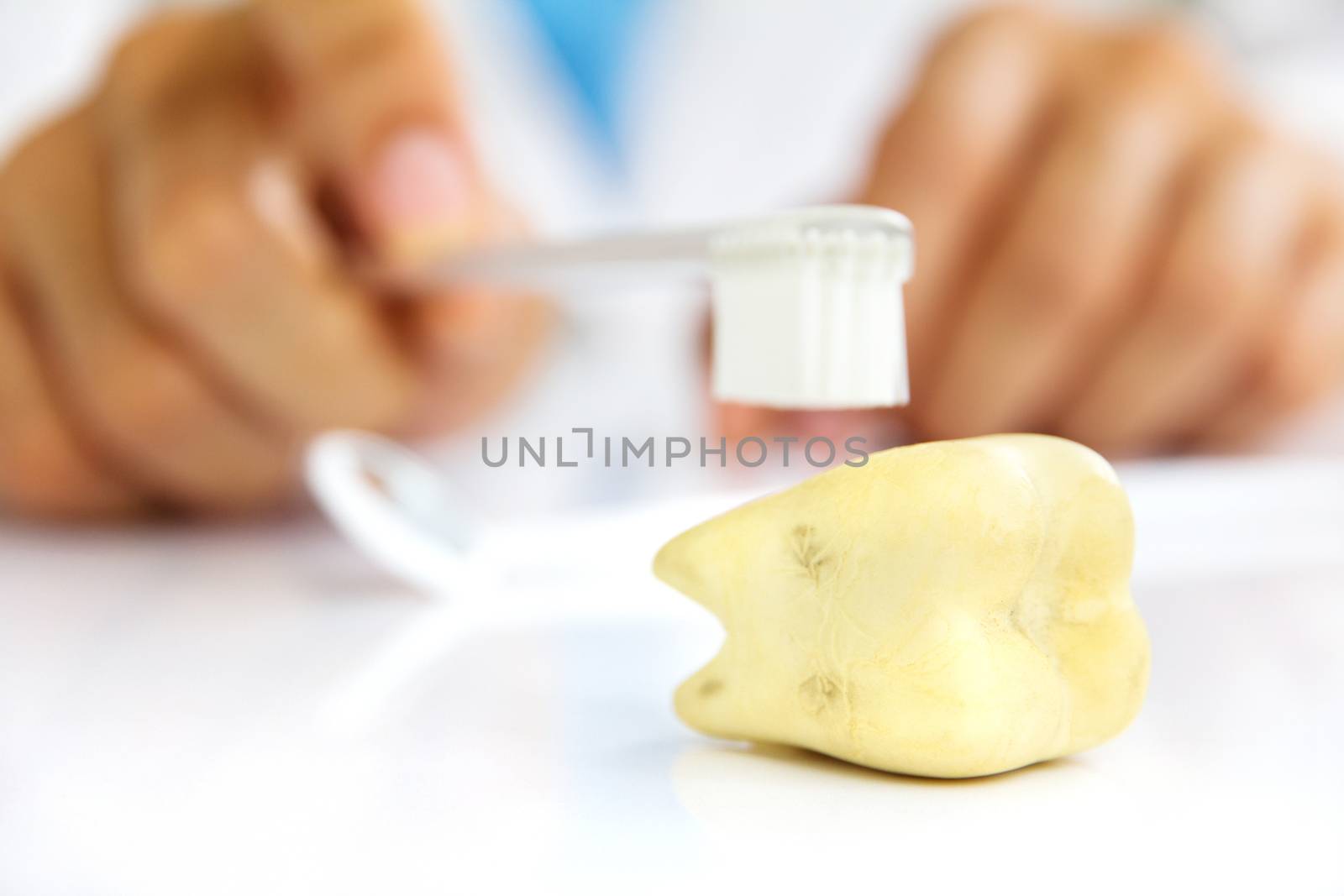 molar with dentist background