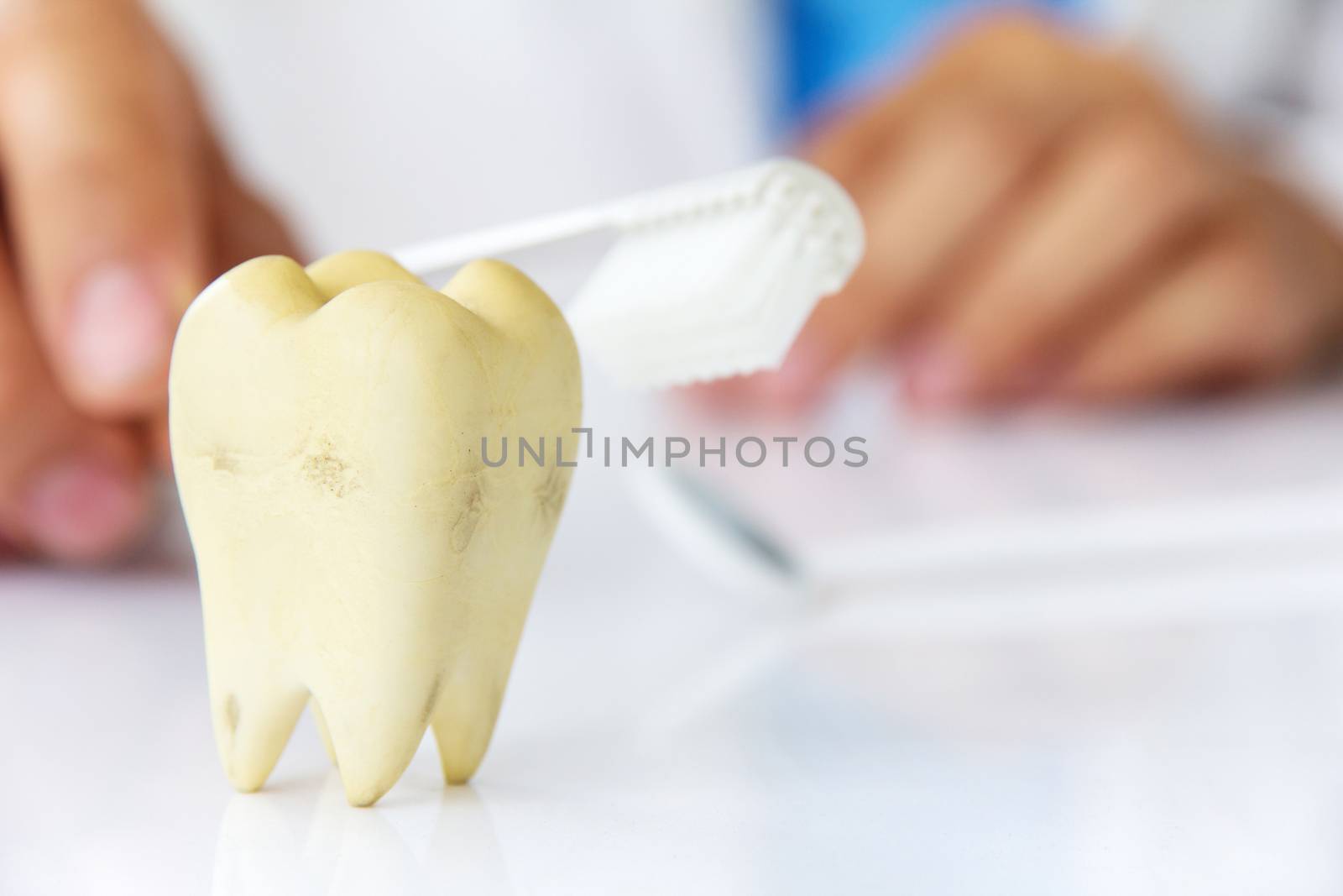 molar with dentist background by ponsulak
