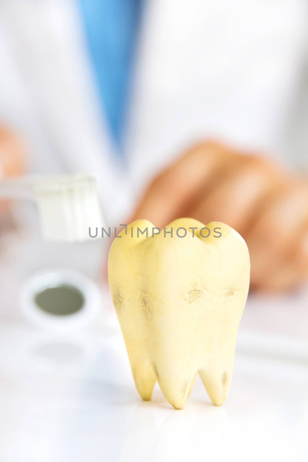 dentist holding brushing teeth, dental hygiene concept