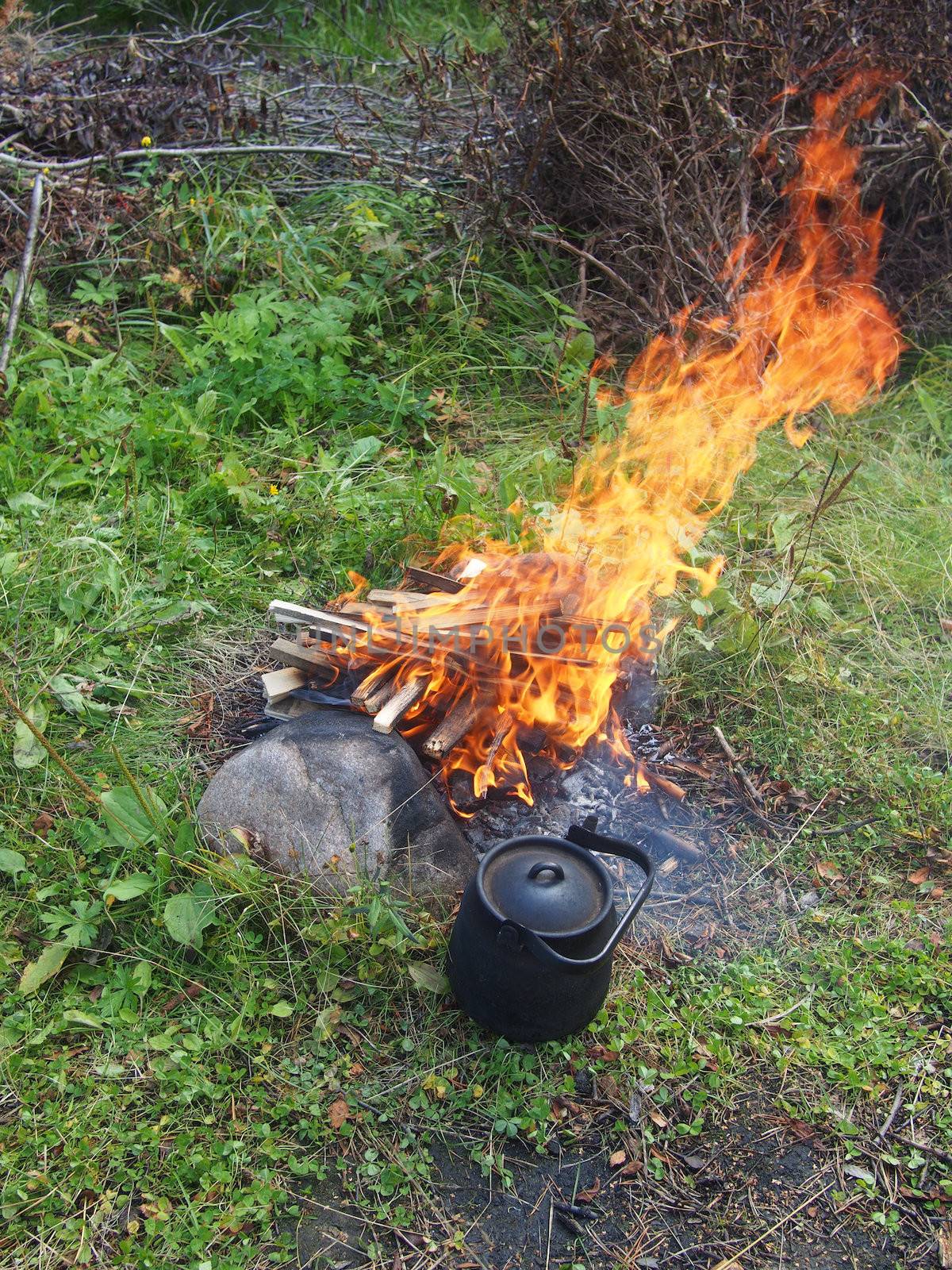 Teapot and kettle on a fire in the summer