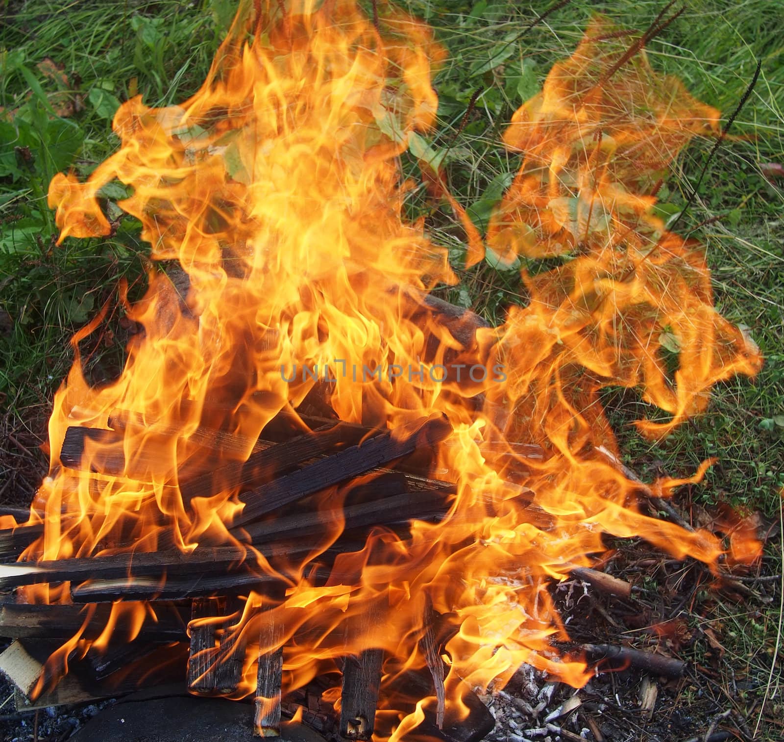 fire