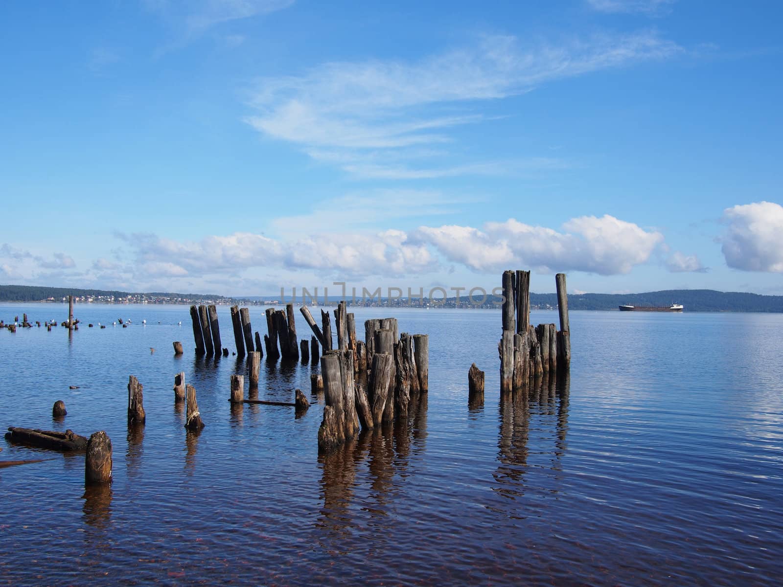 old piles in the lake