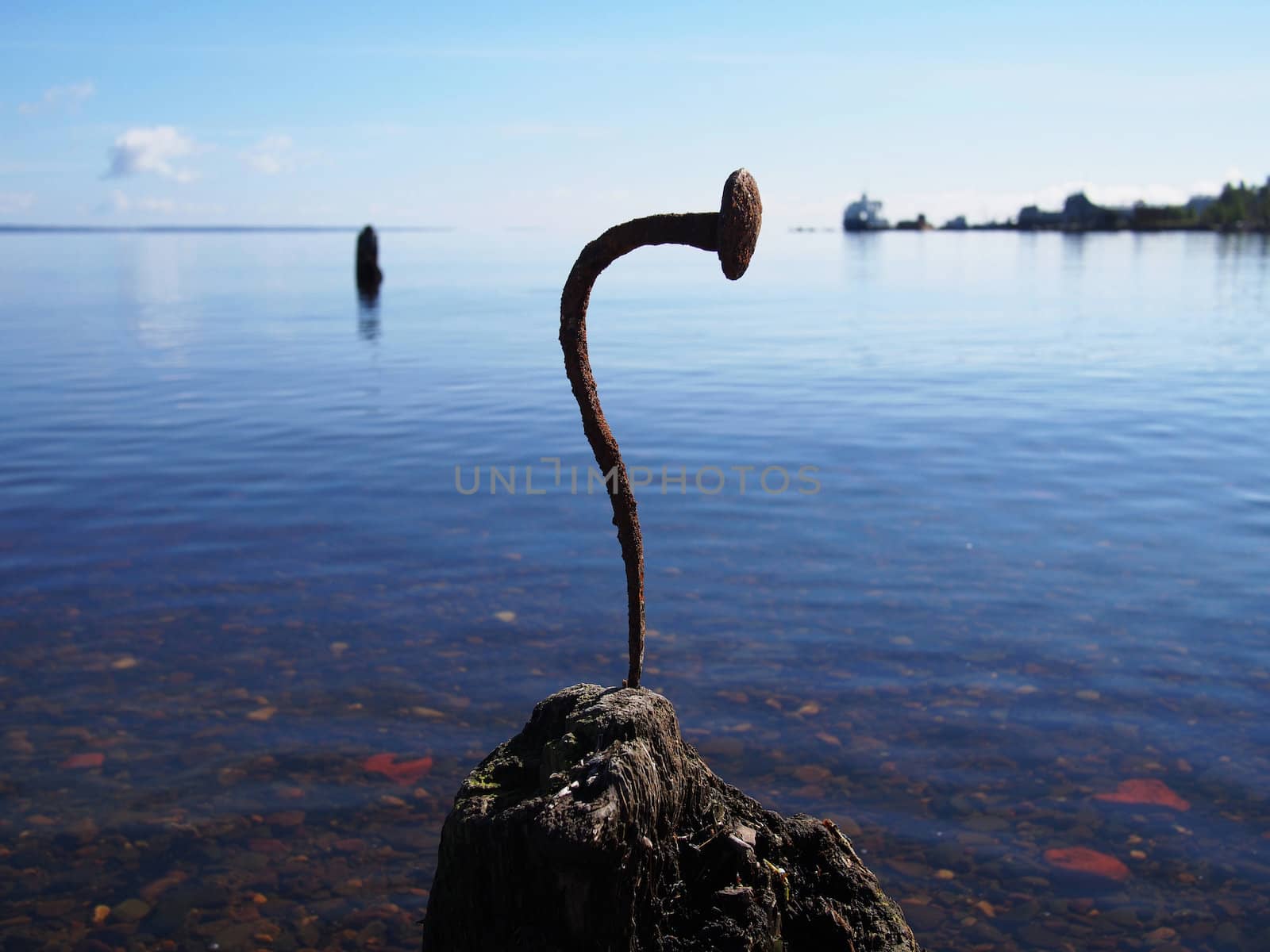 Curved nail in the old pile on the lake