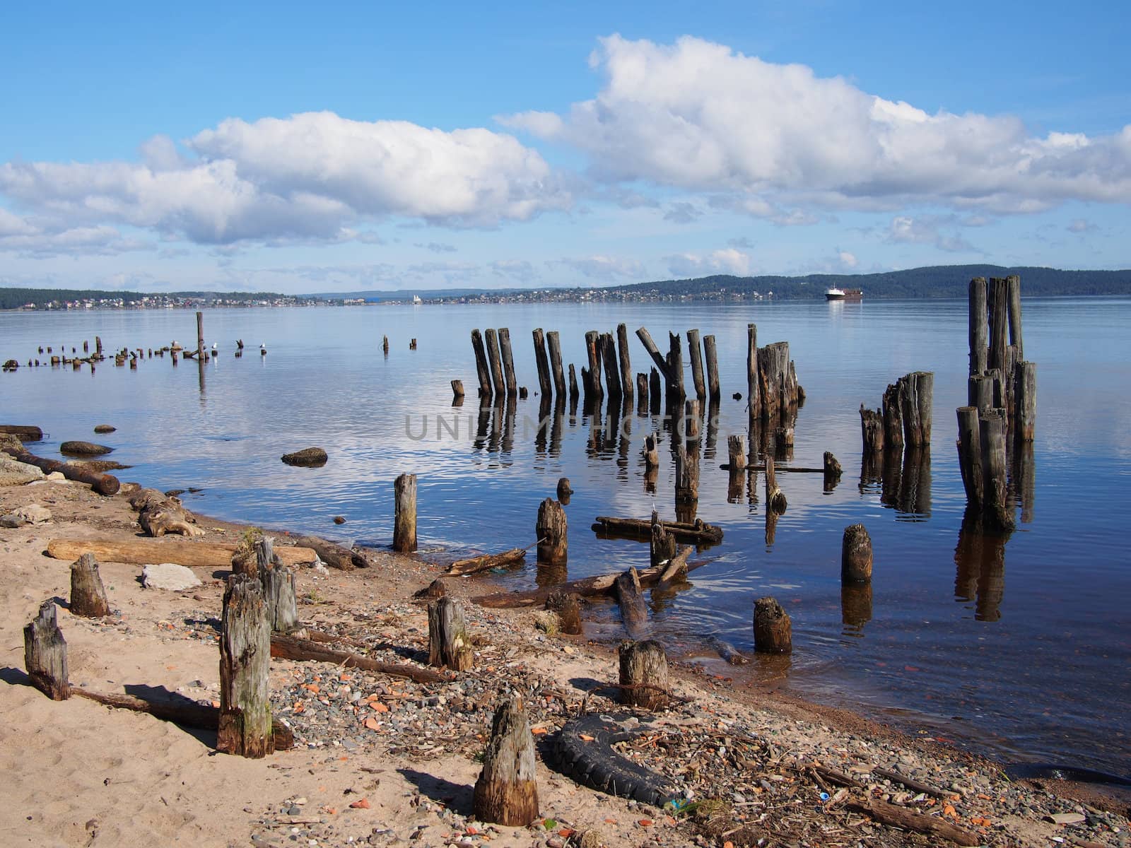 old piles in the lake