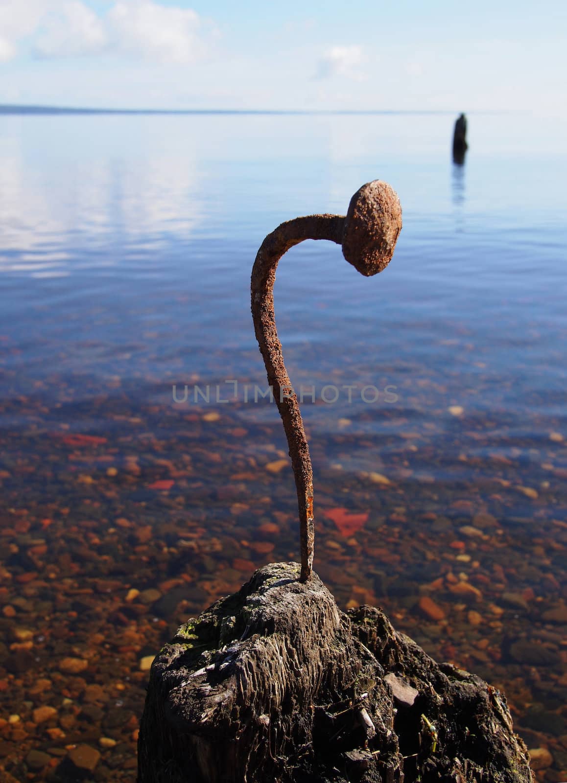 Curved nail in the old pile on the lake