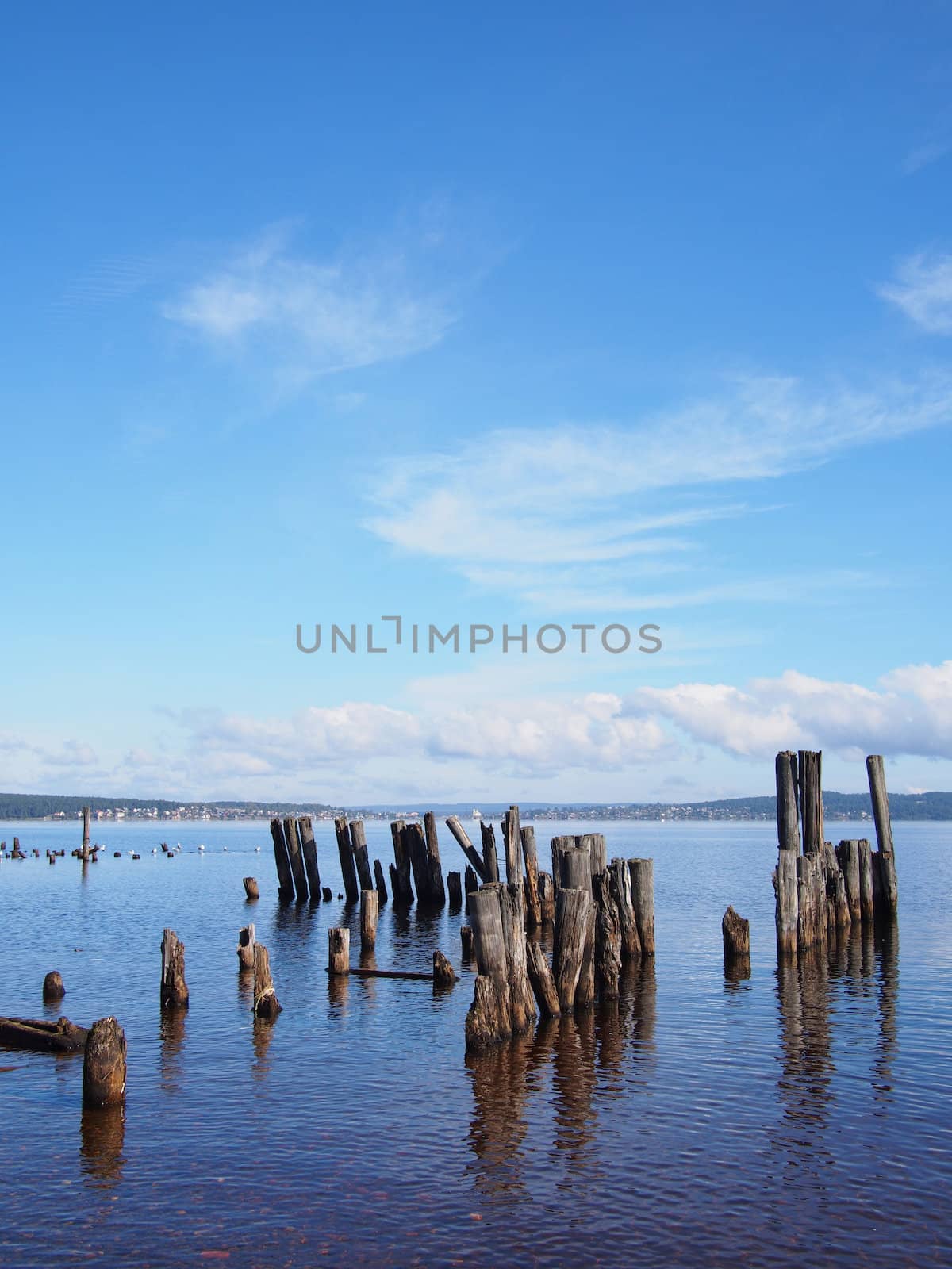 old piles in the lake