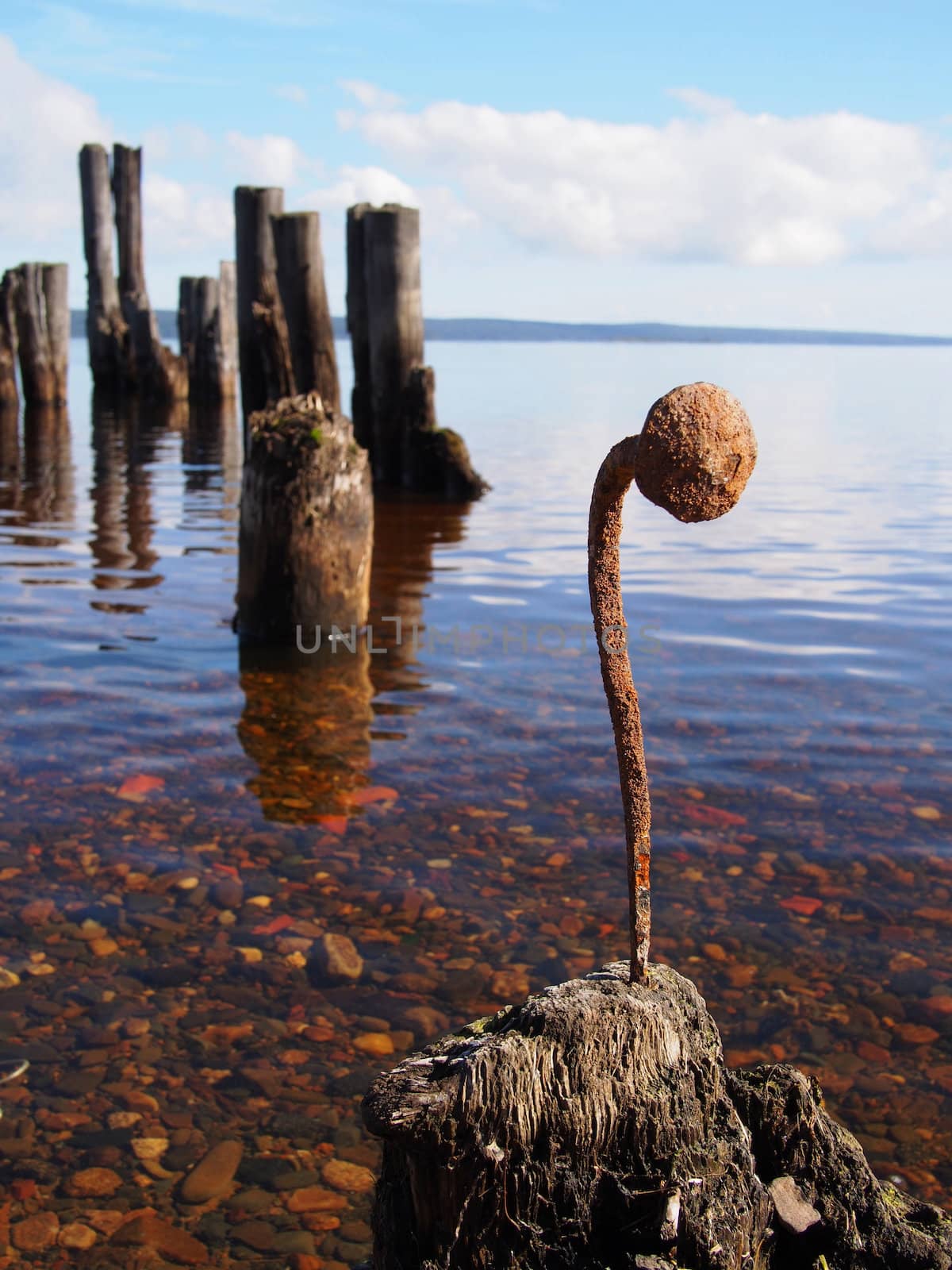 Curved nail in the old pile on the lake