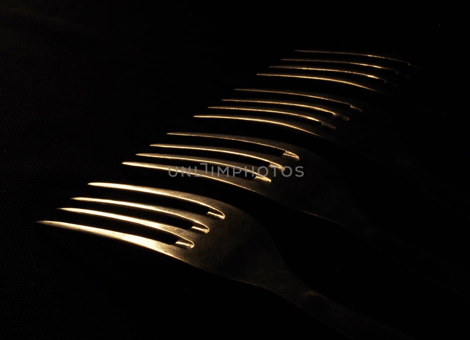 fork on a dark background