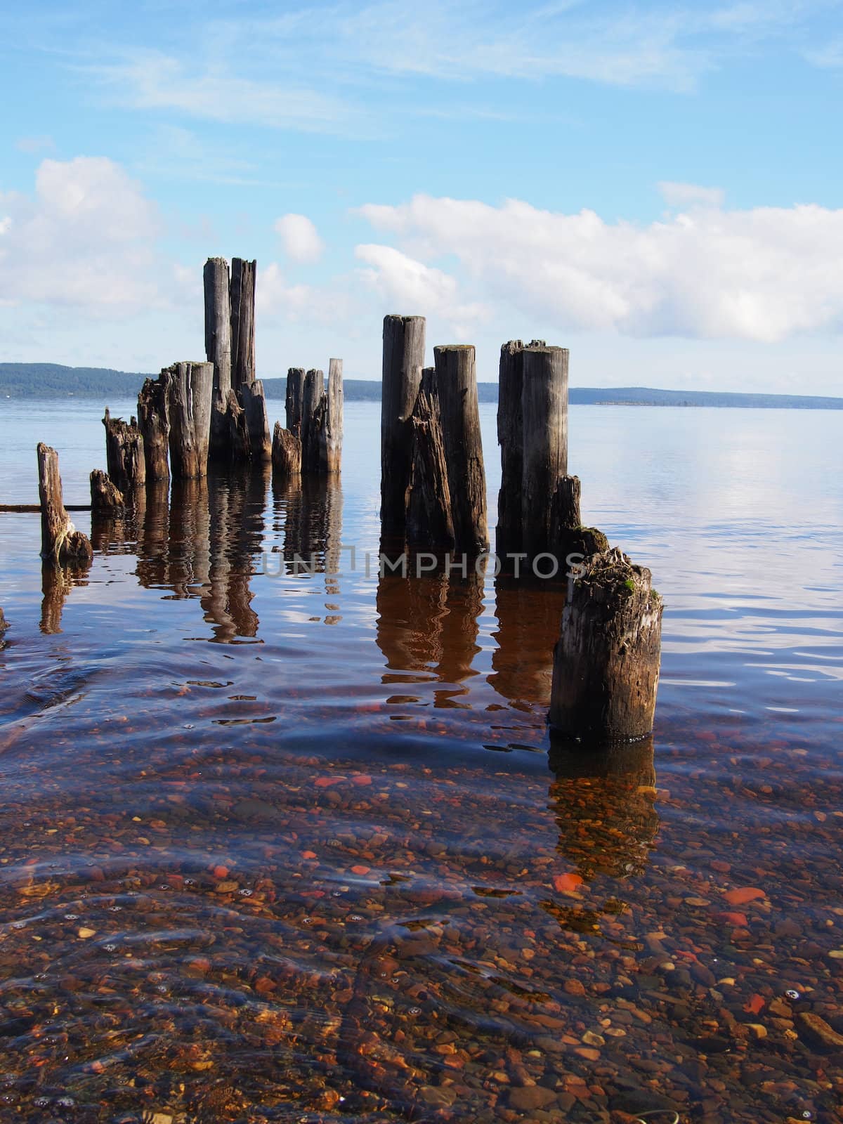 old piles in the lake