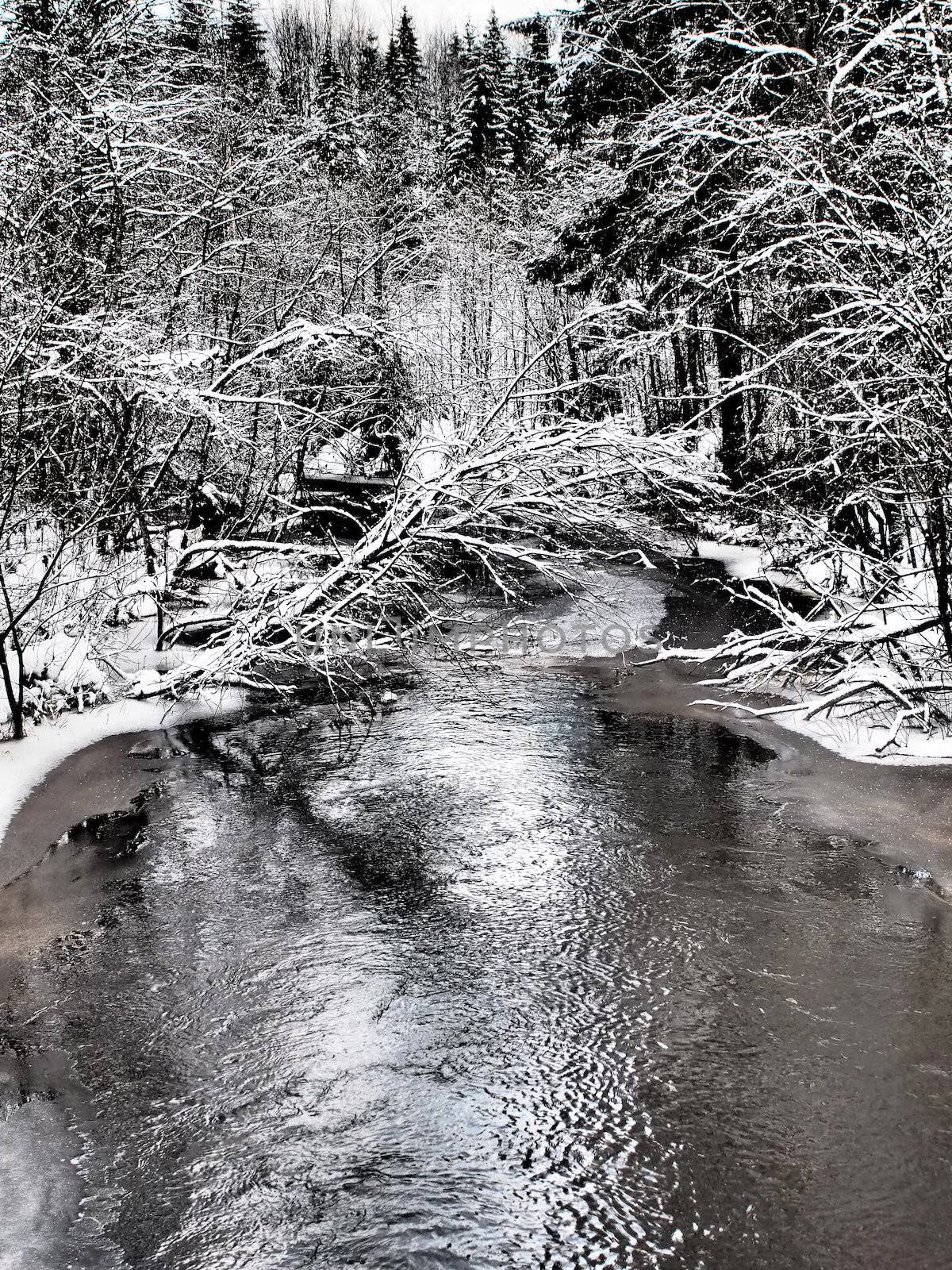 river in winter
