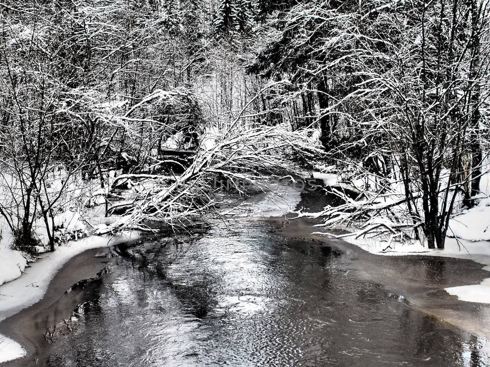 river in winter