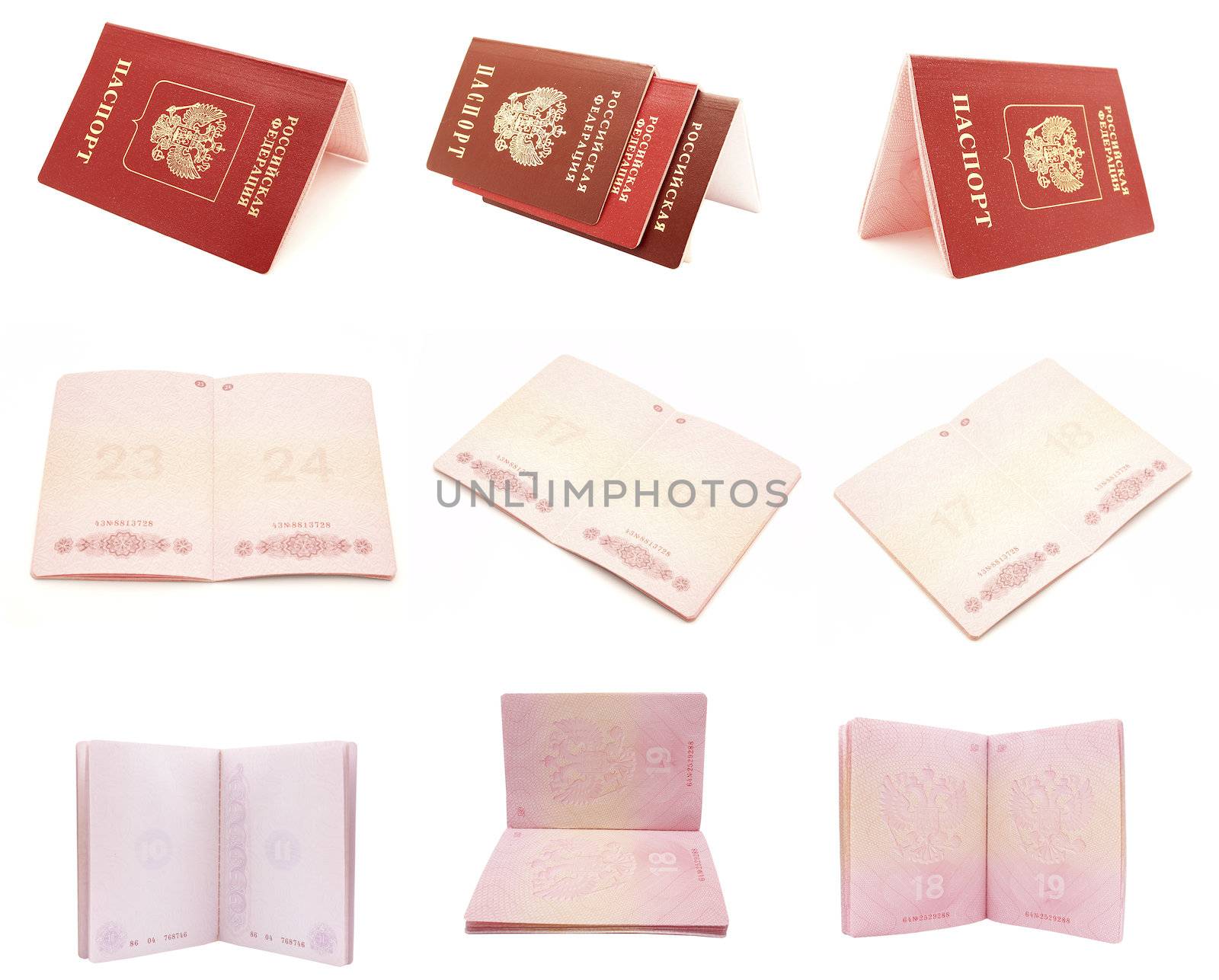 russian passport on a white background. set