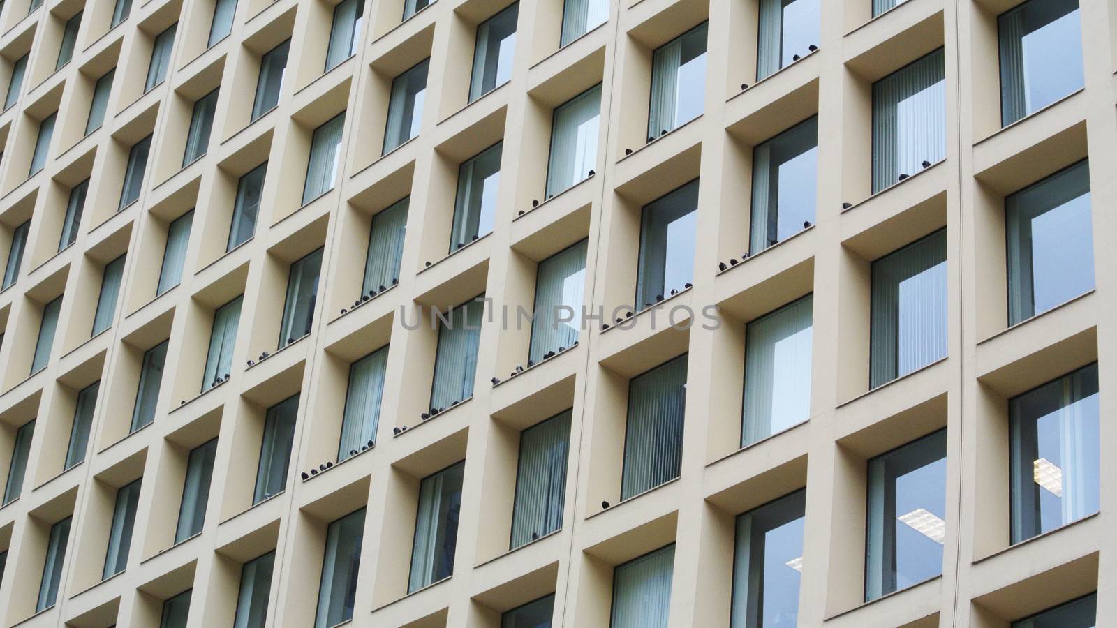 Birds resting on building