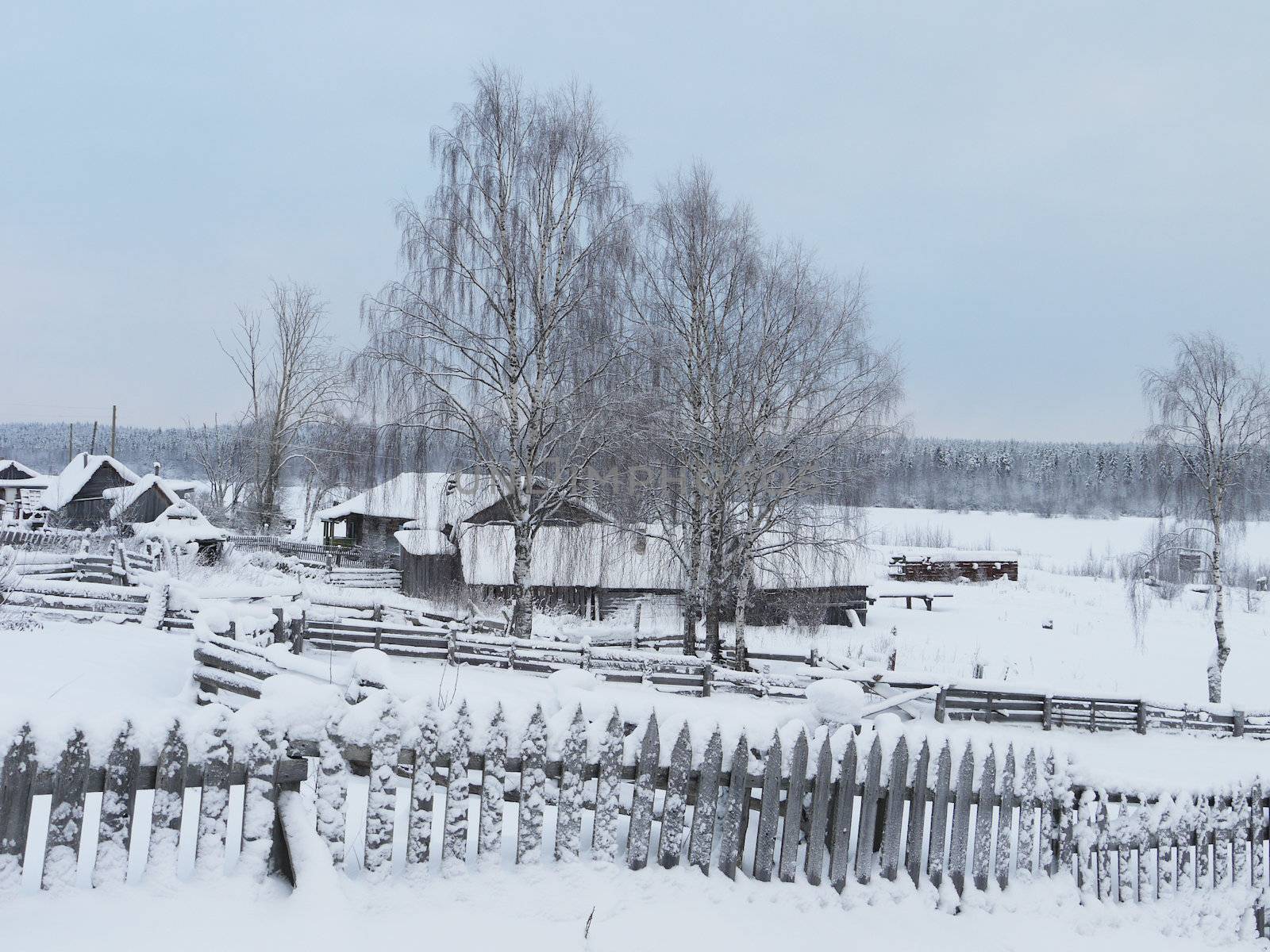 village in winter