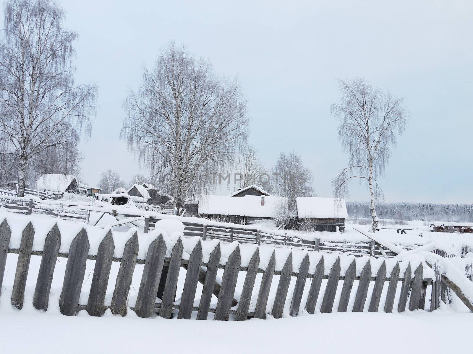 village in winter