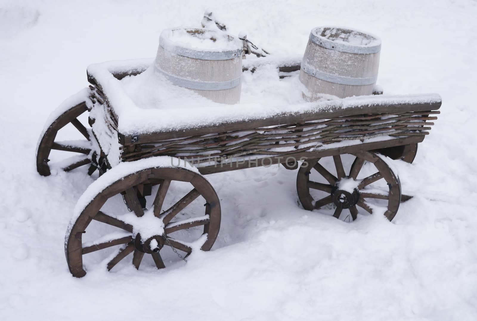 dray horse with barrels in the snow