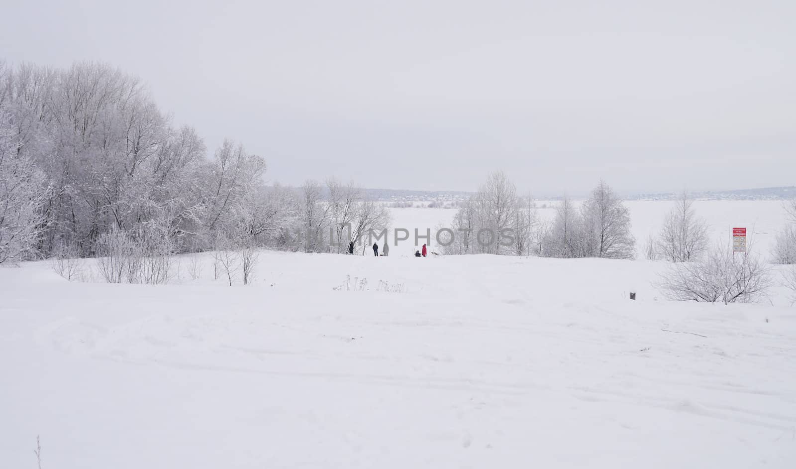 winter landscape