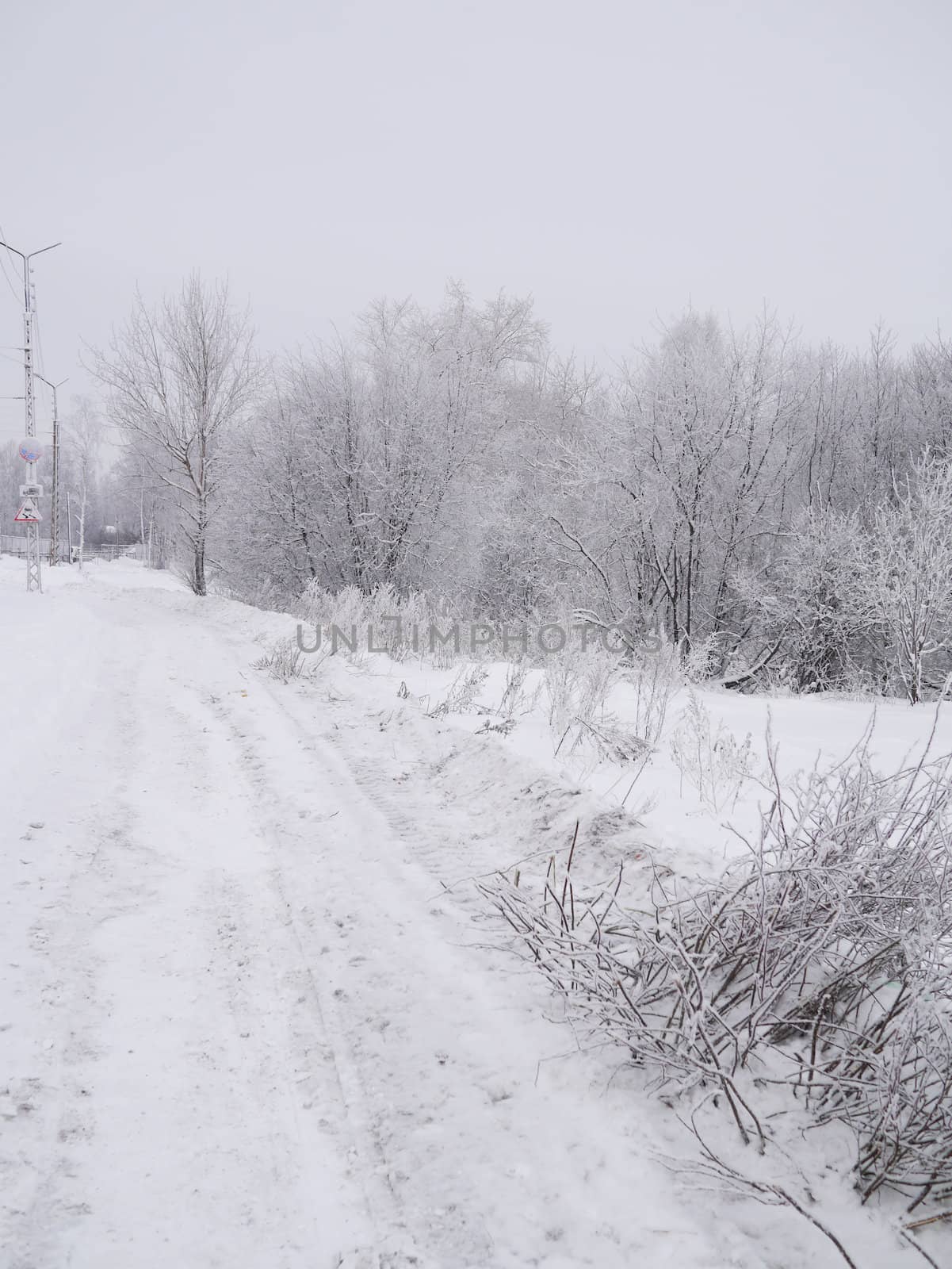 winter landscape