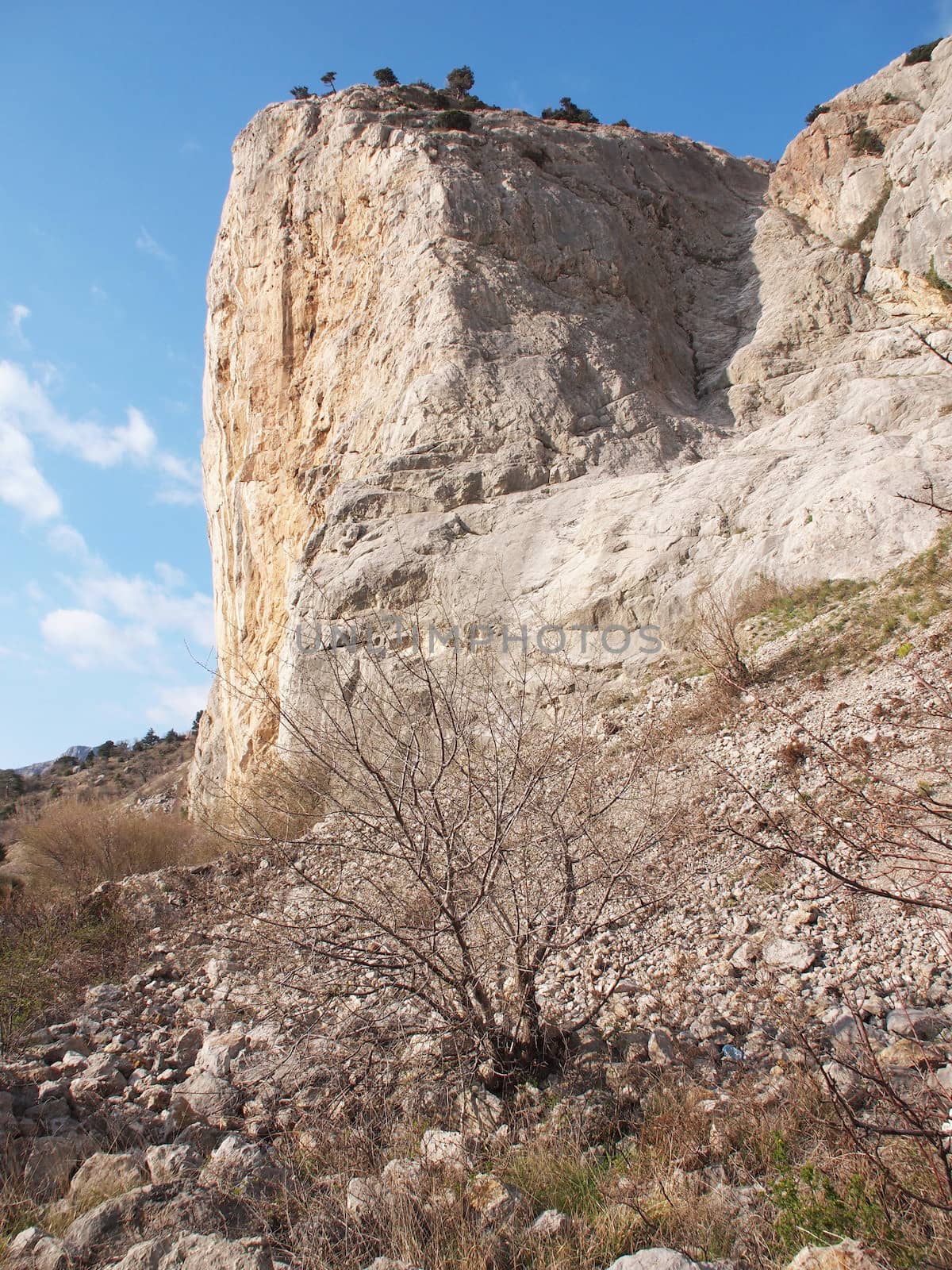 trees, sky and rock 