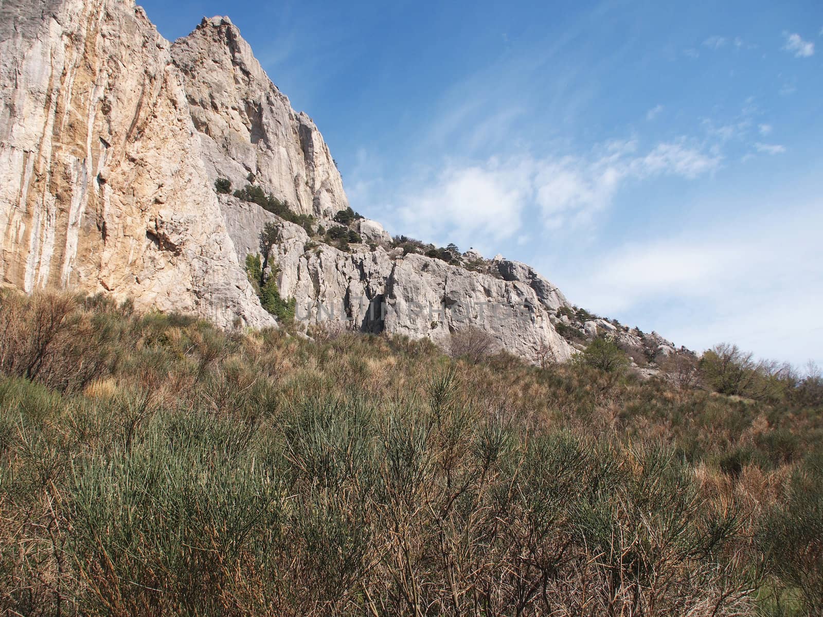 trees, sky and rock 