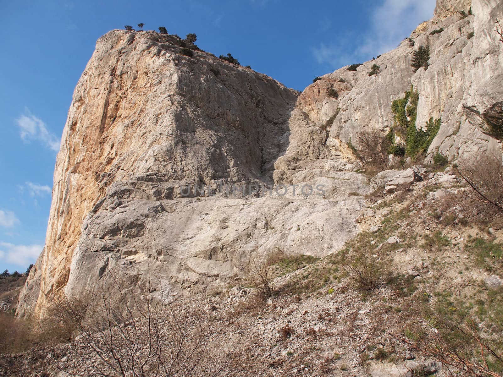 trees, sky and rock 