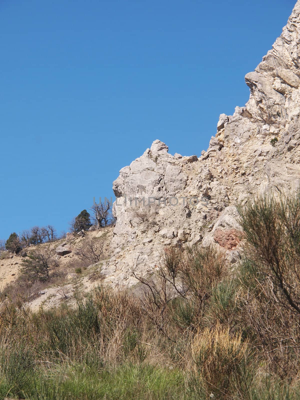 trees, sky and rock 