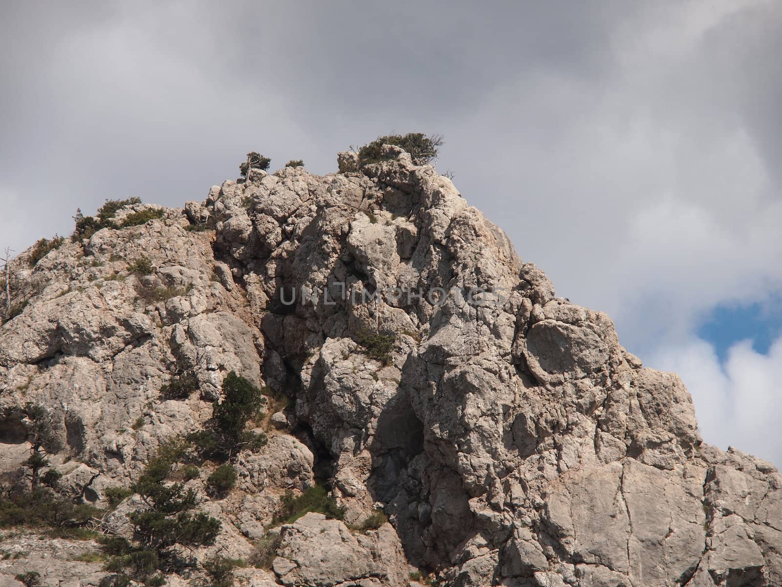 trees, sky and rock 