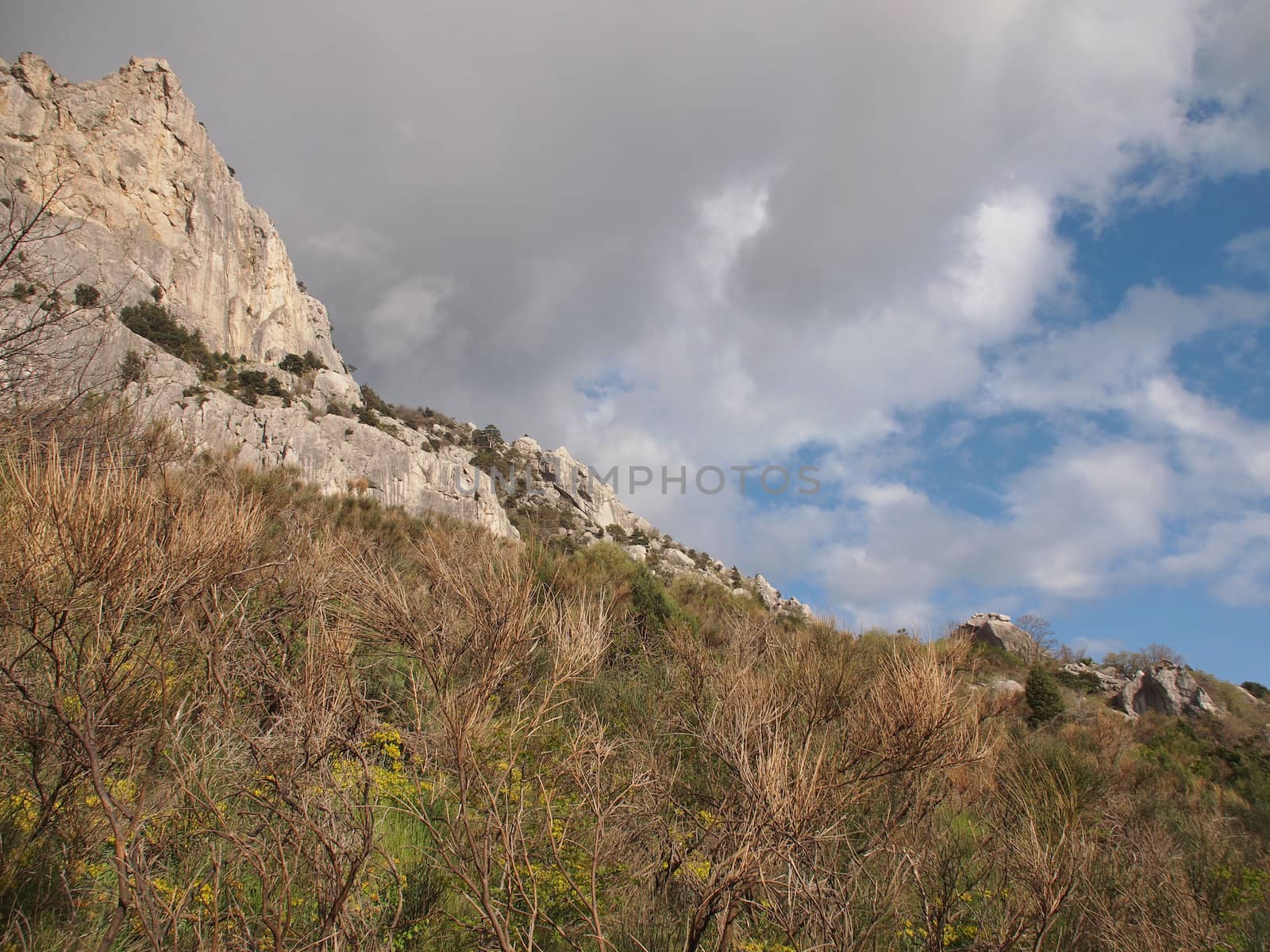 trees, sky and rock 