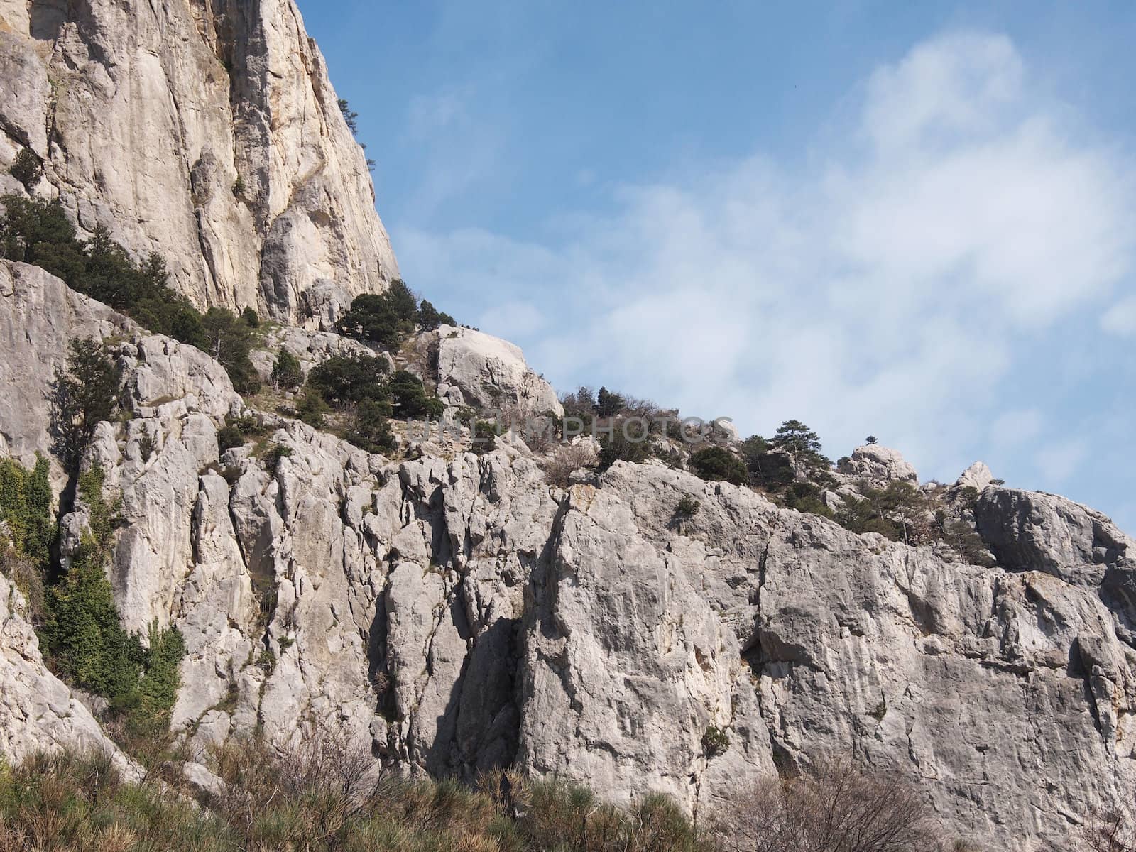trees, sky and rock 