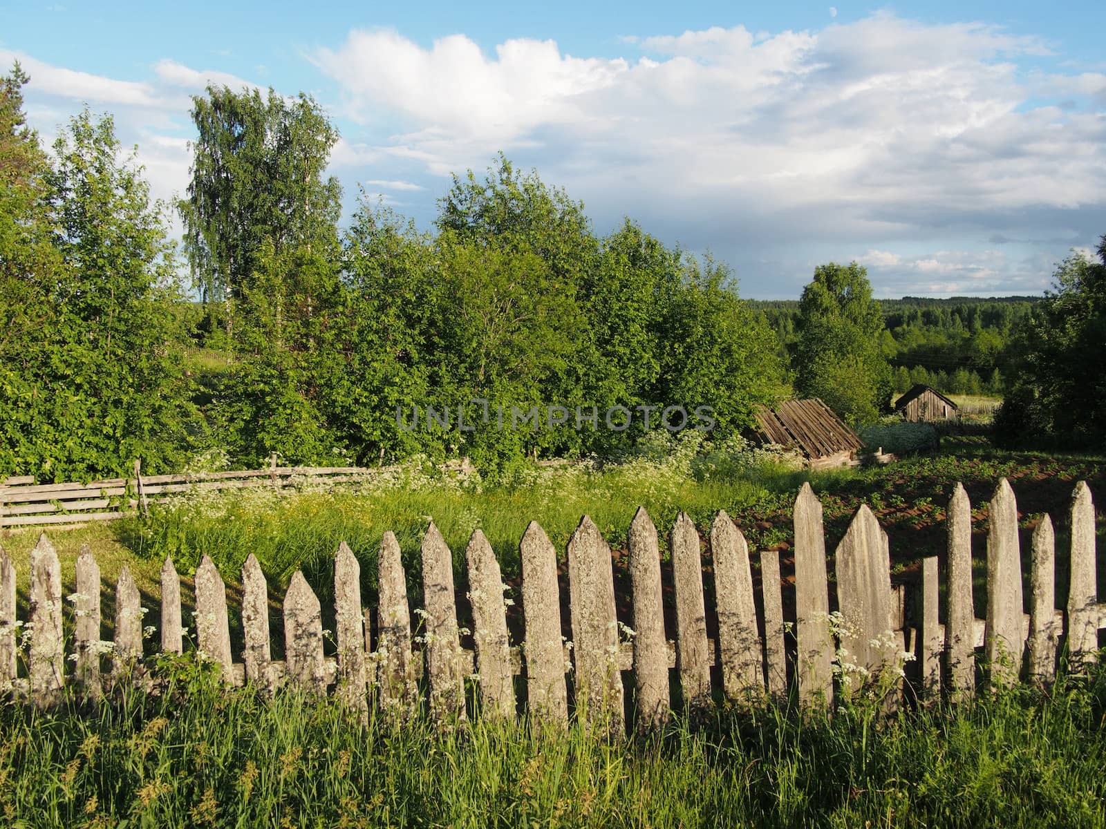 fence in the countryside