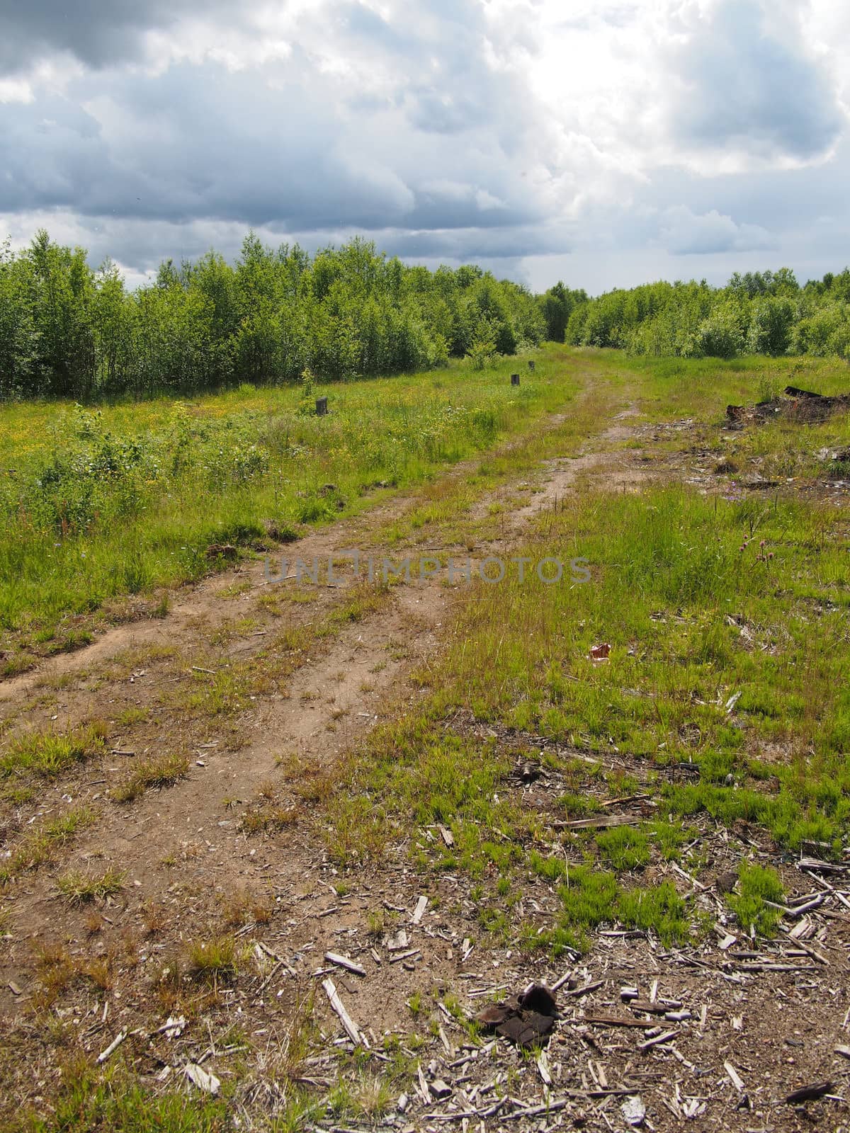 forest road