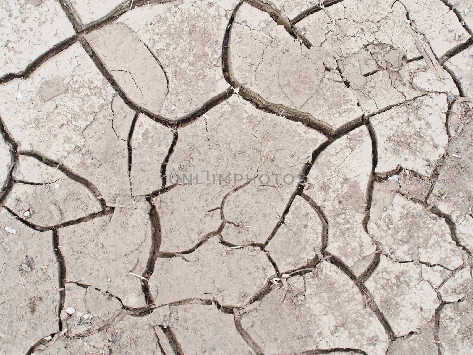 Dry land in the cracks. background