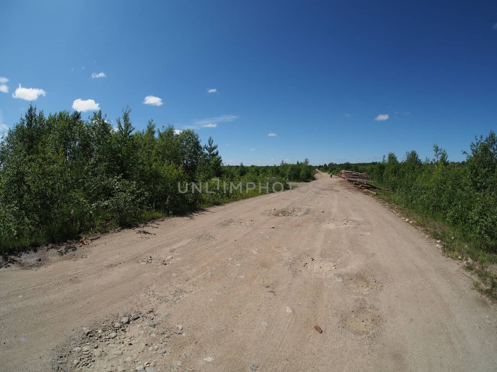 forest road