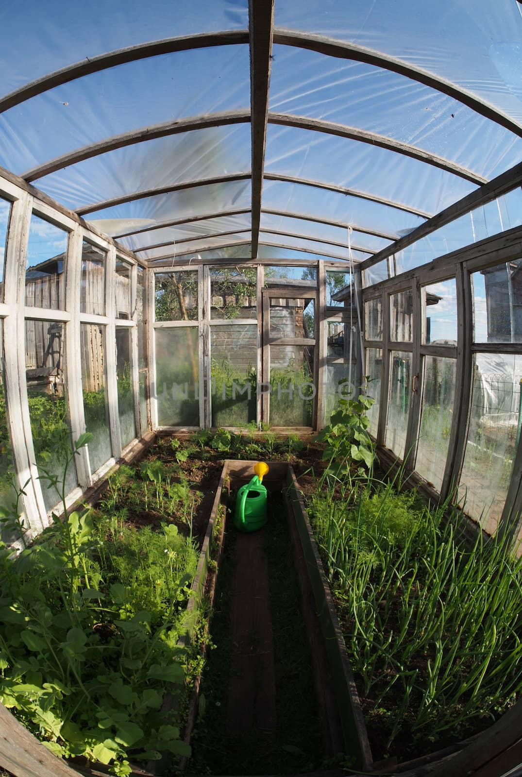 greenhouse inside