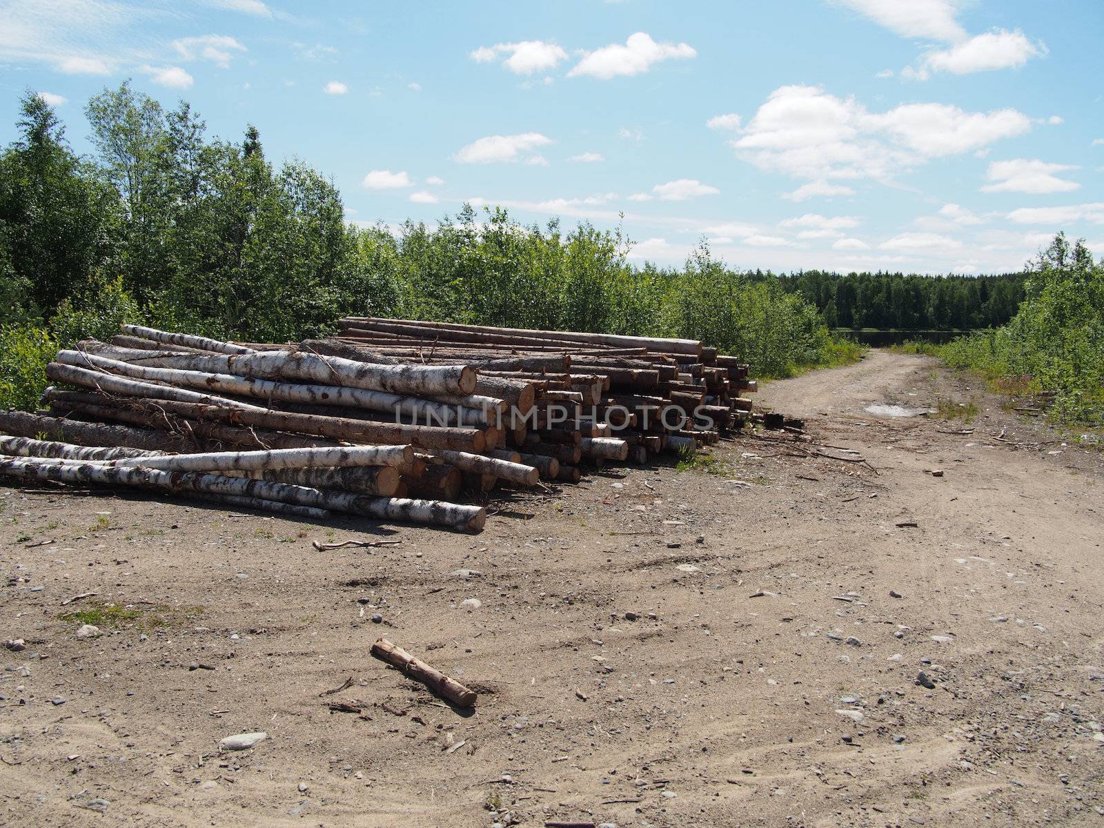 The logs on the road