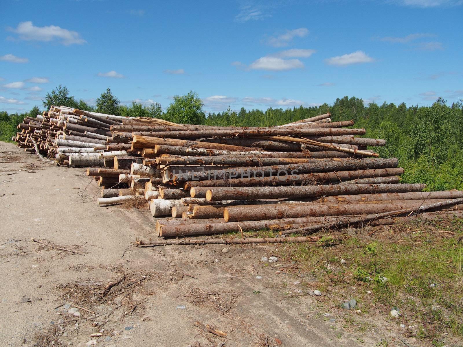 The logs on the road