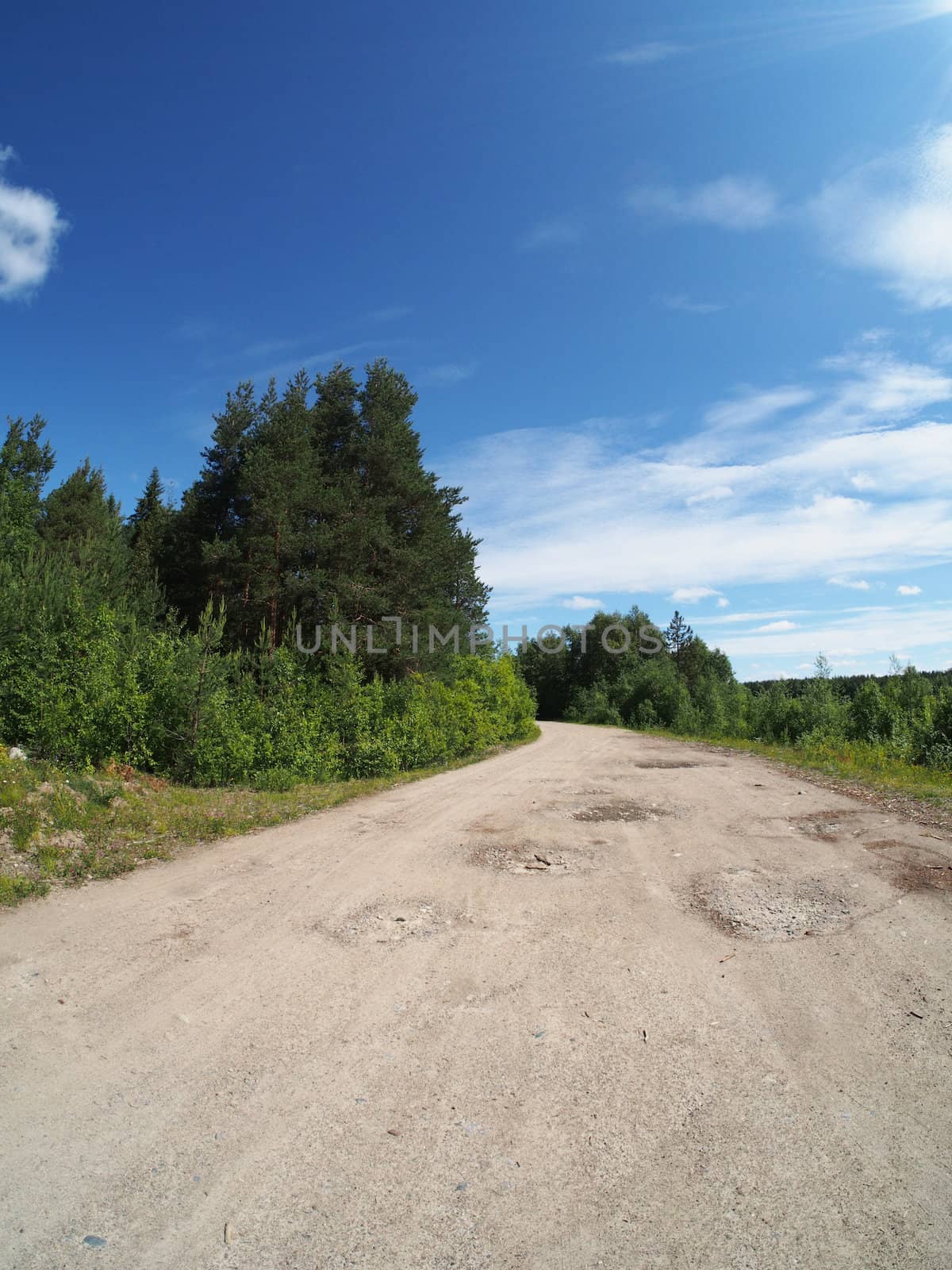 forest road