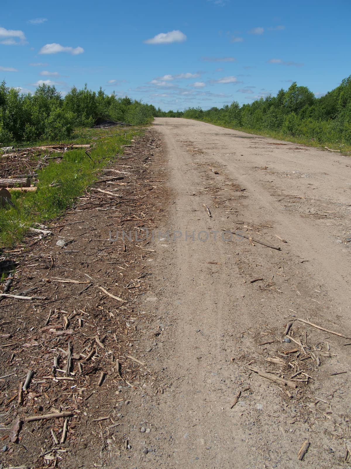 forest road