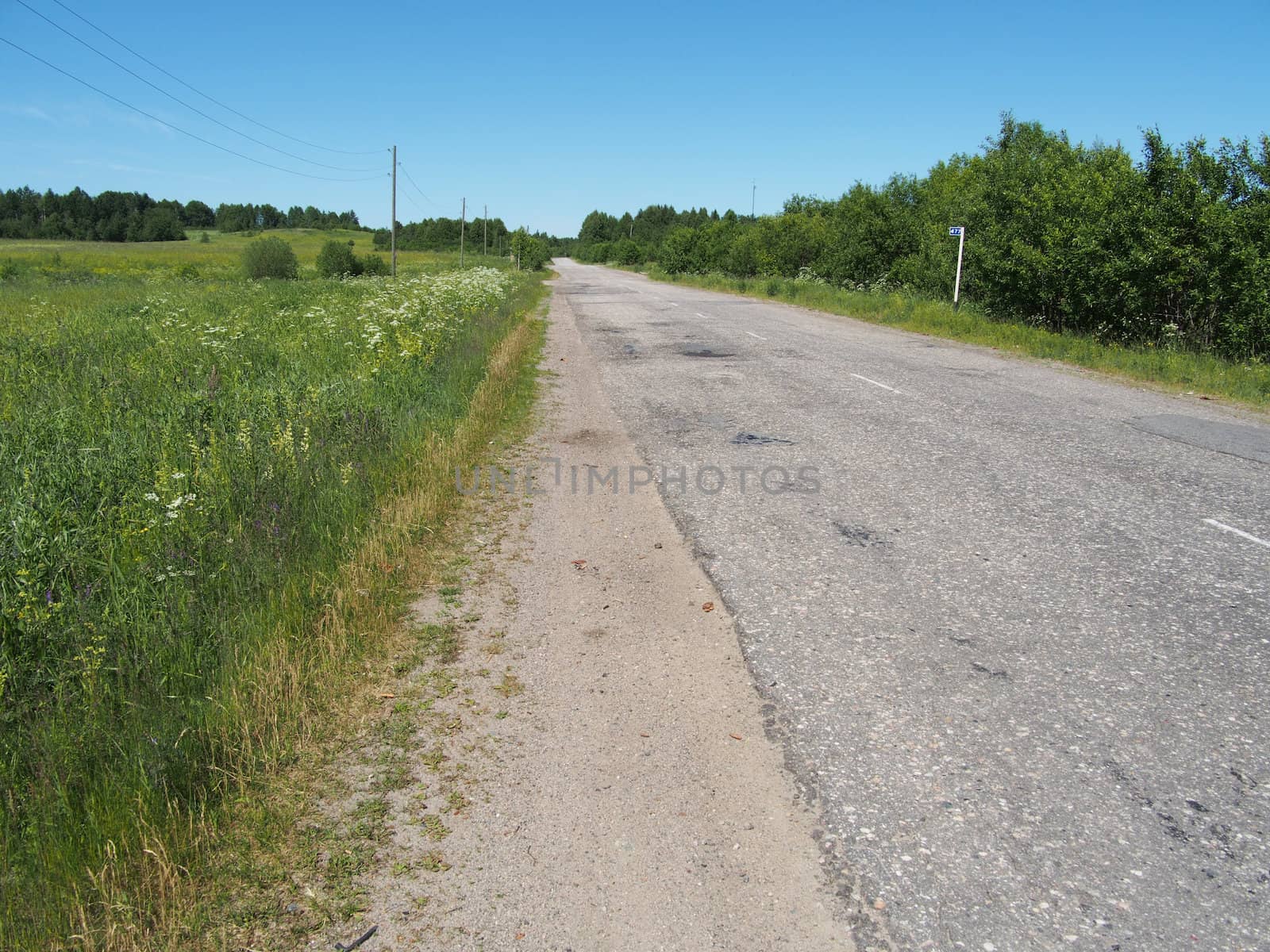 asphalt road in forest by Enskanto