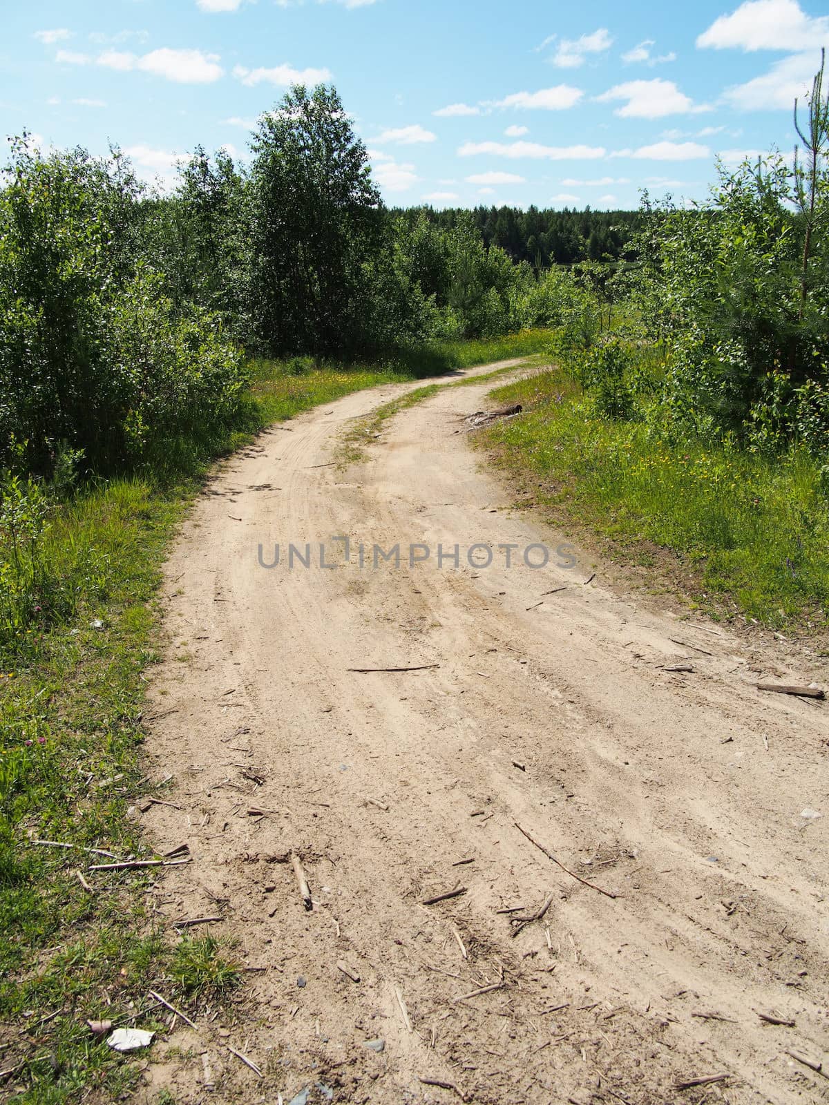 forest road