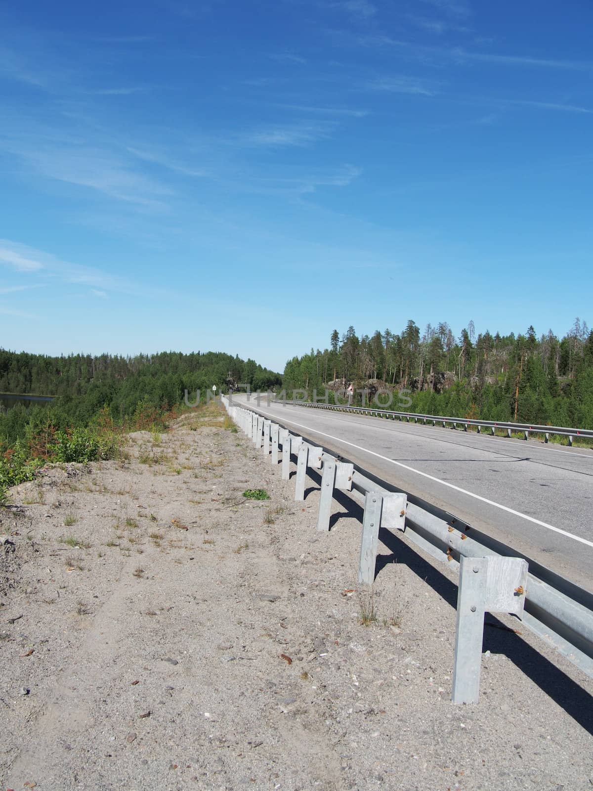 asphalt road in the woods